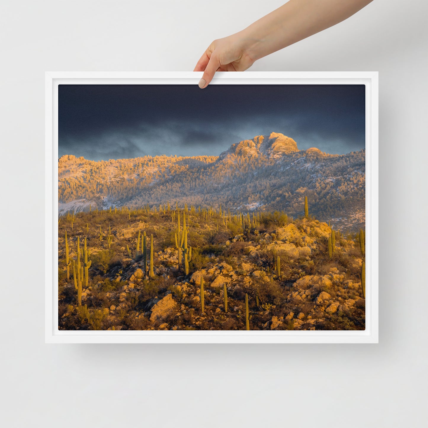 Rincon Mountain Snow by Sean Parker Photography | Framed canvas