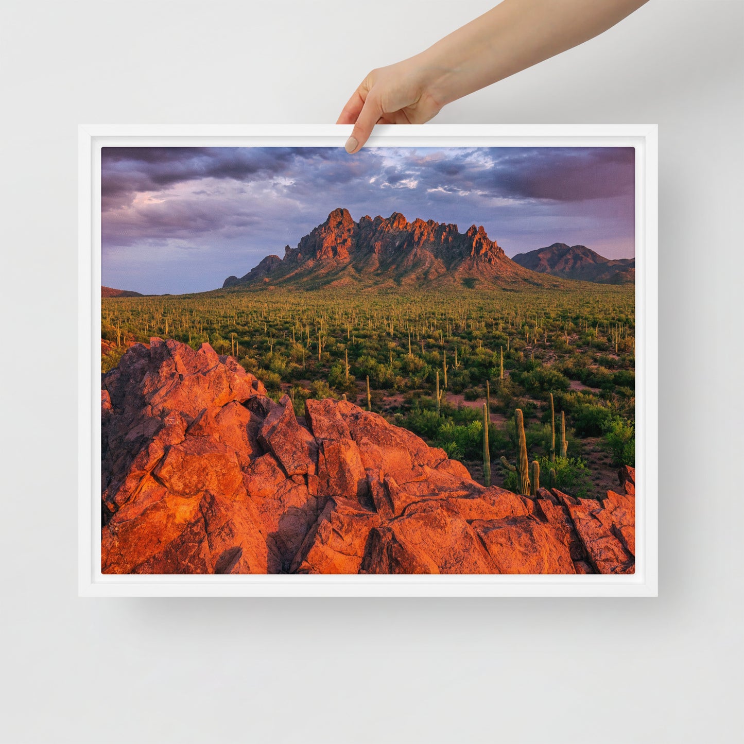 Ironwood National Monument by Sean Parker Photography | Framed canvas