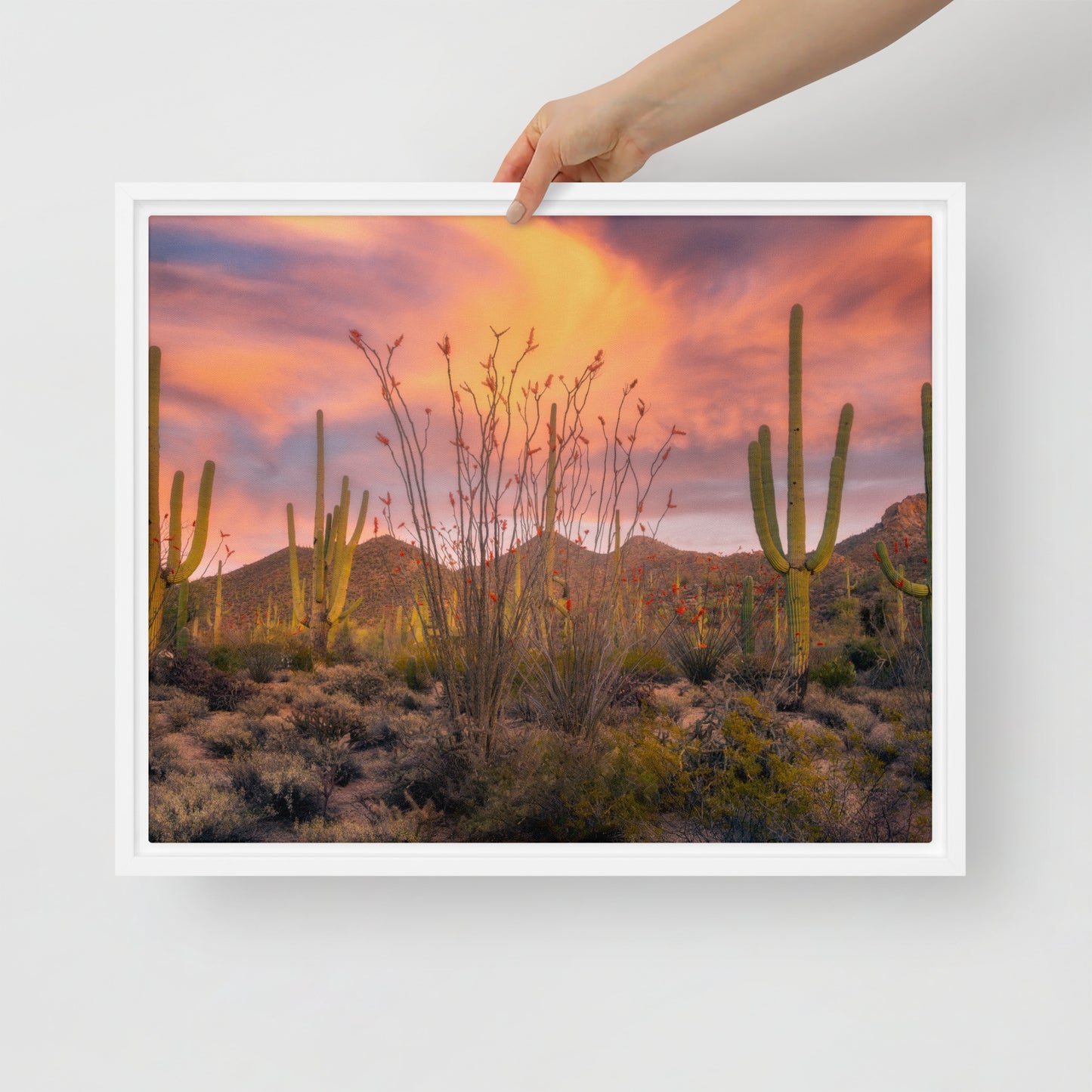 Tucson Mountain Park Sunset by Sean Parker Photography | Framed canvas