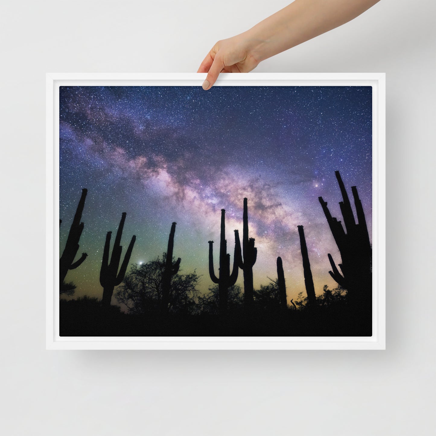 Saguaro Starlight by Sean Parker Photography | Framed canvas