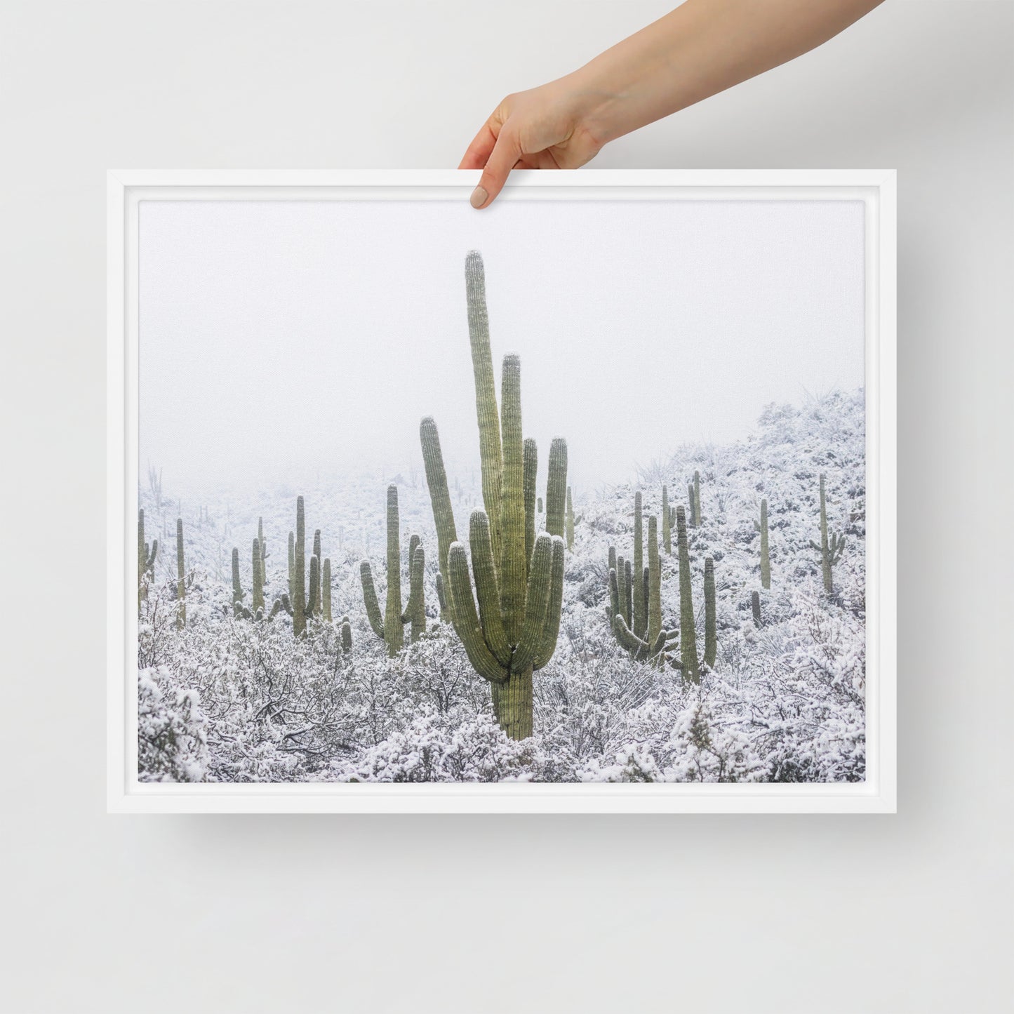 Saguaro Snowfall by Sean Parker Photography | Framed canvas