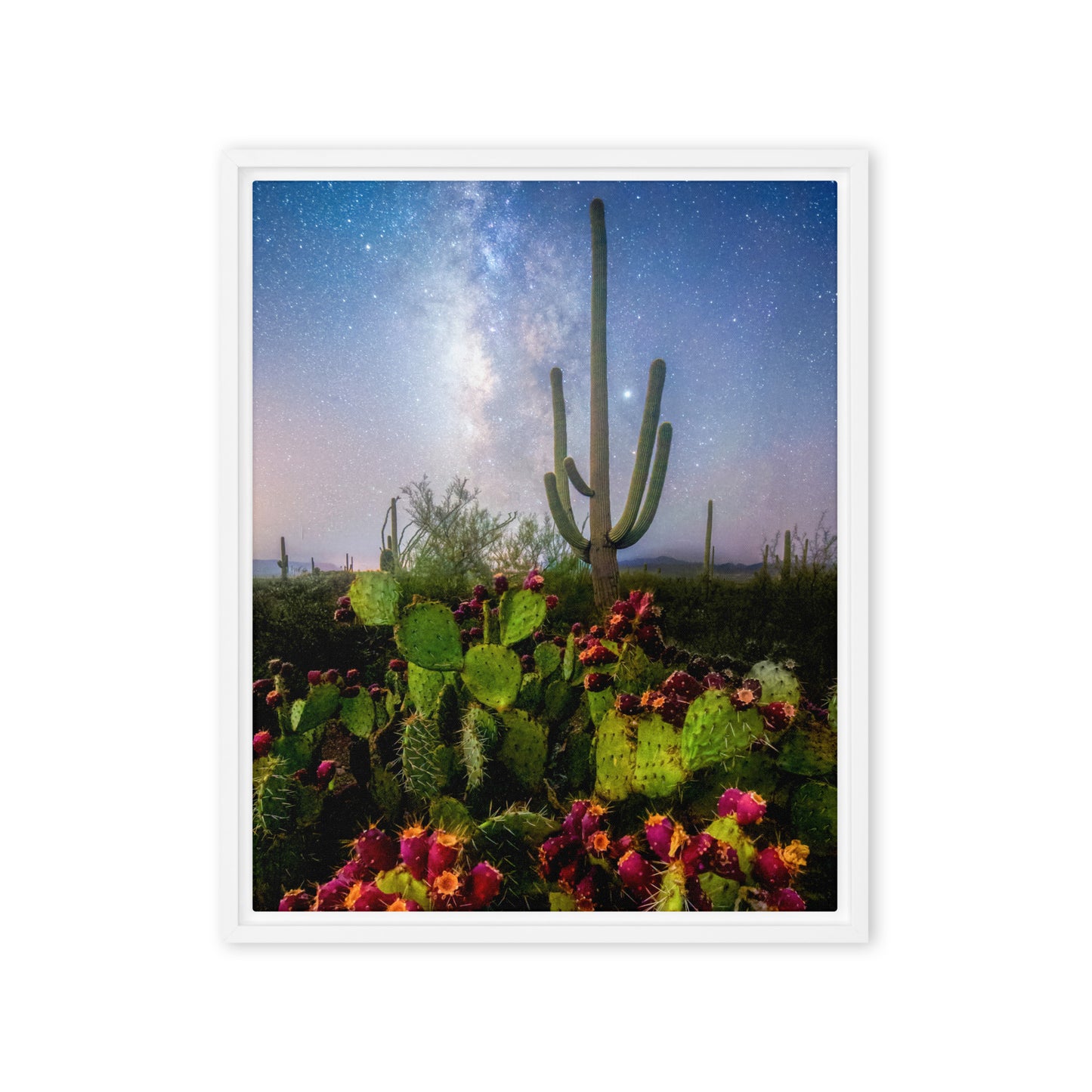 Milky Way Prickly Pear by Sean Parker Photography | Framed canvas