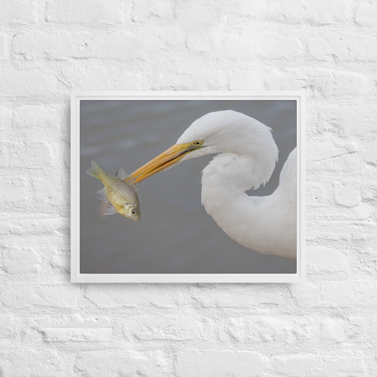 Great White Egret by Leslie Leathers Photography | Framed canvas