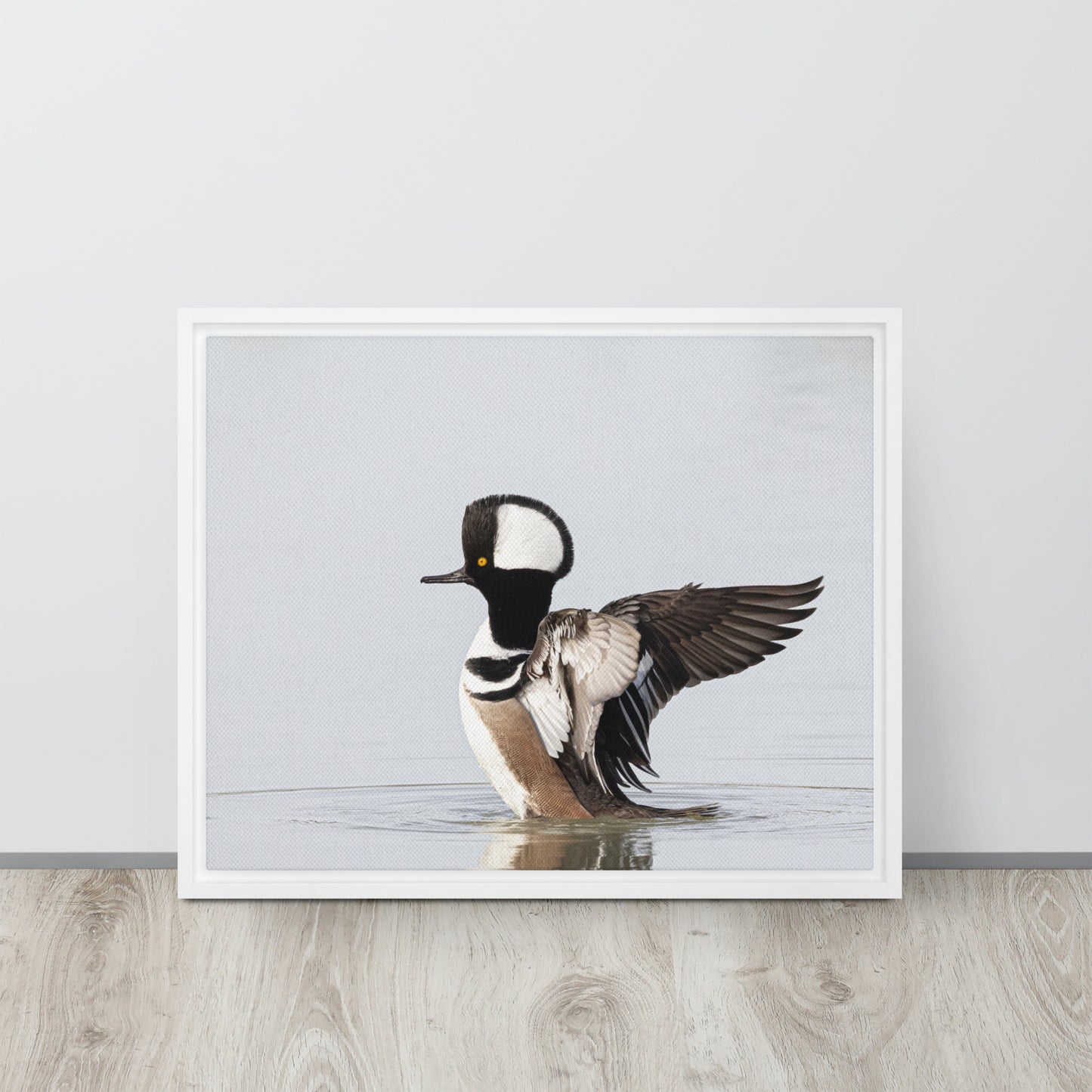 Hooded Merganser by Leslie Leathers Photography | Framed canvas