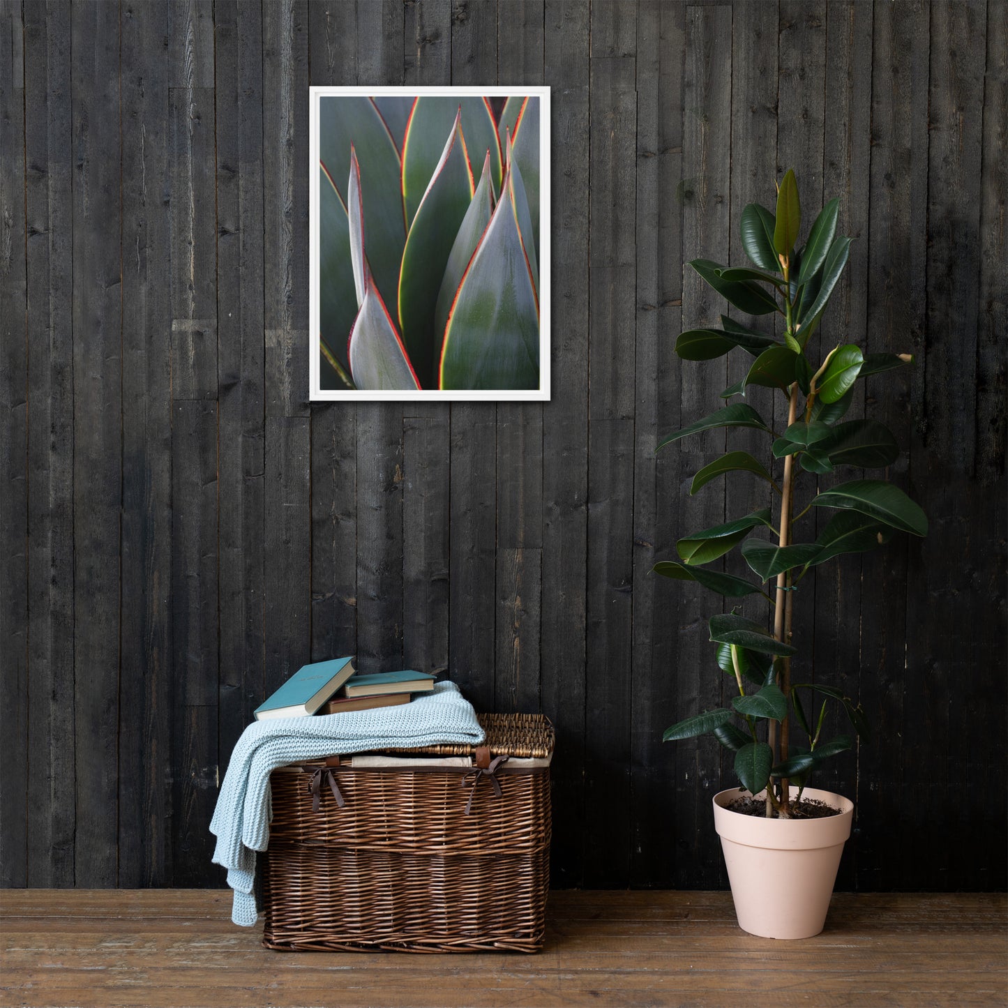 Agave by Leslie Leathers Photography | Framed canvas