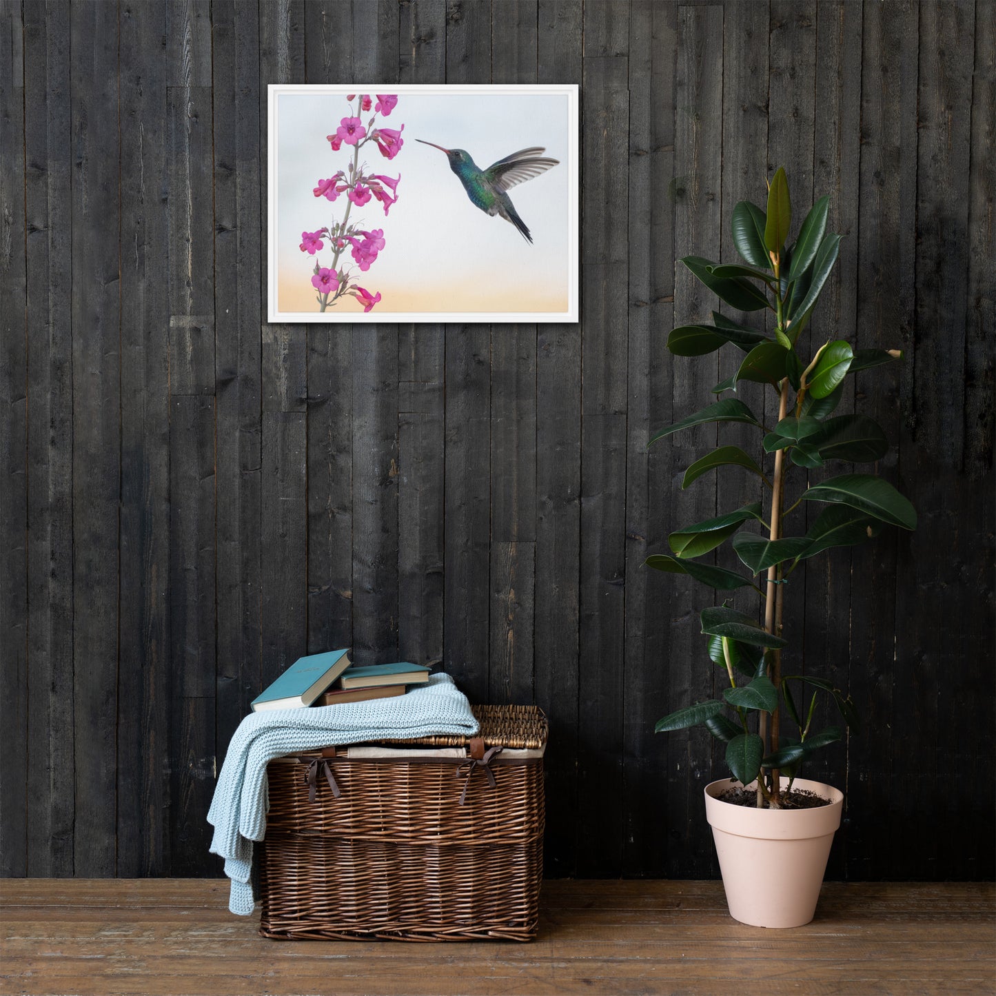 Broad Billed Hummingbird by Leslie Leathers Photography | Framed canvas