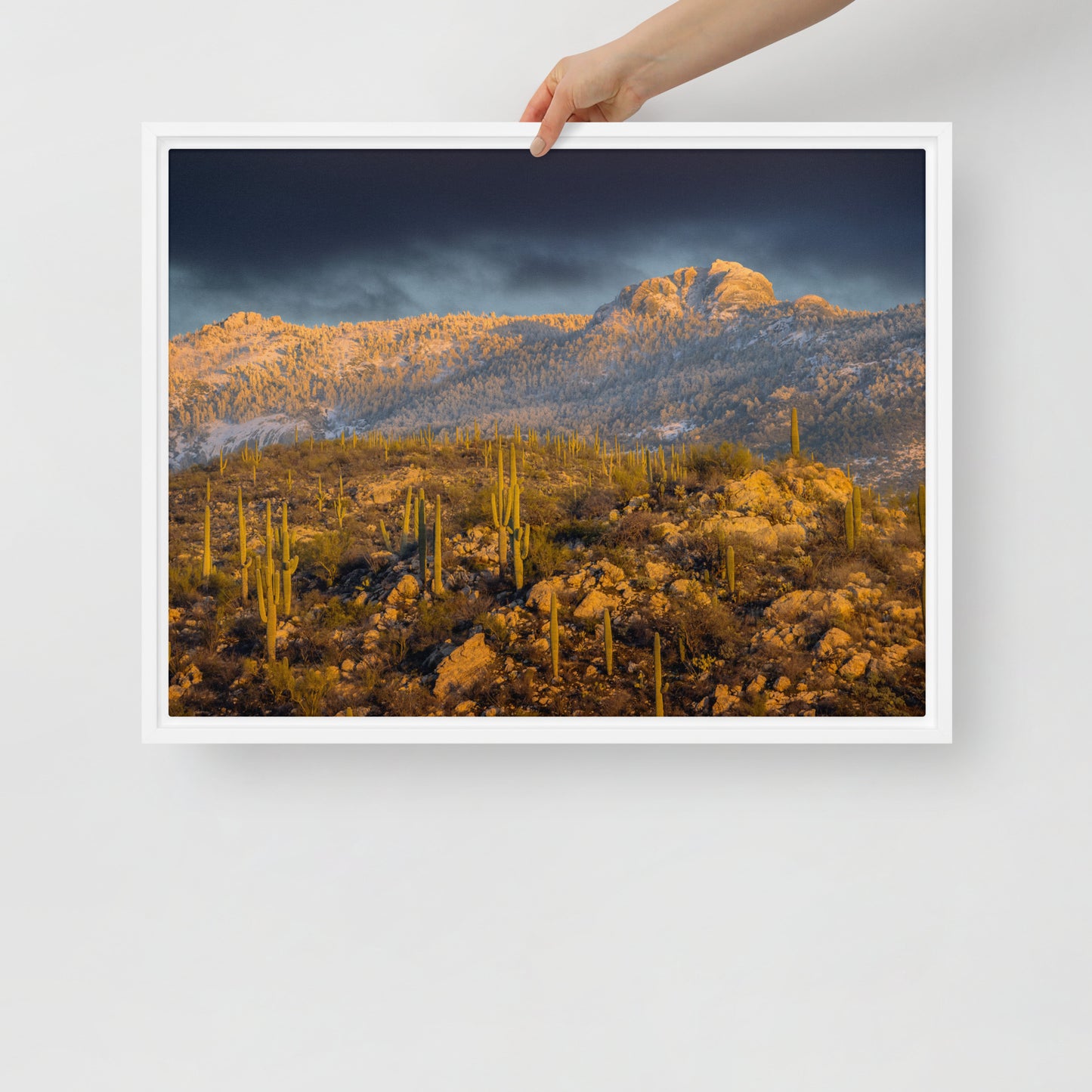 Rincon Mountain Snow by Sean Parker Photography | Framed canvas