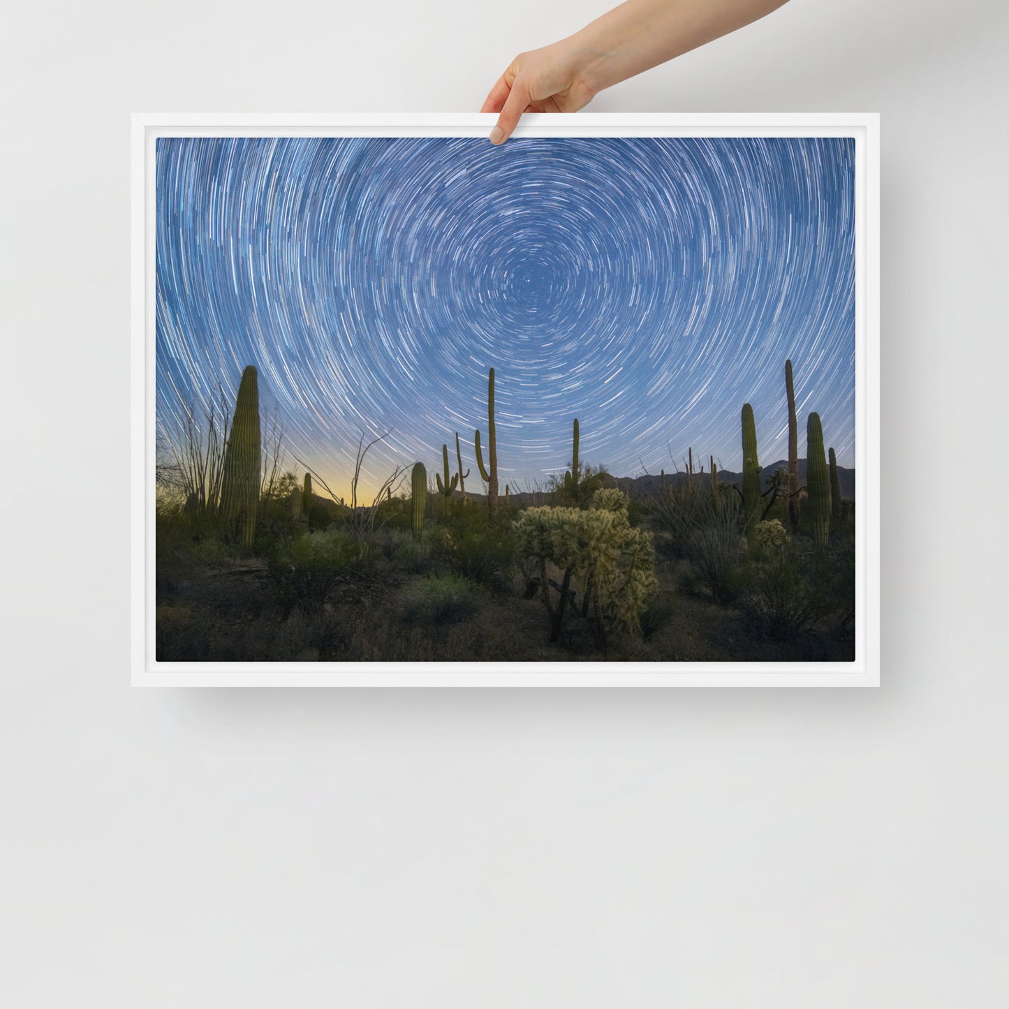 Sonoran Startails by Sean Parker Photography | Framed canvas