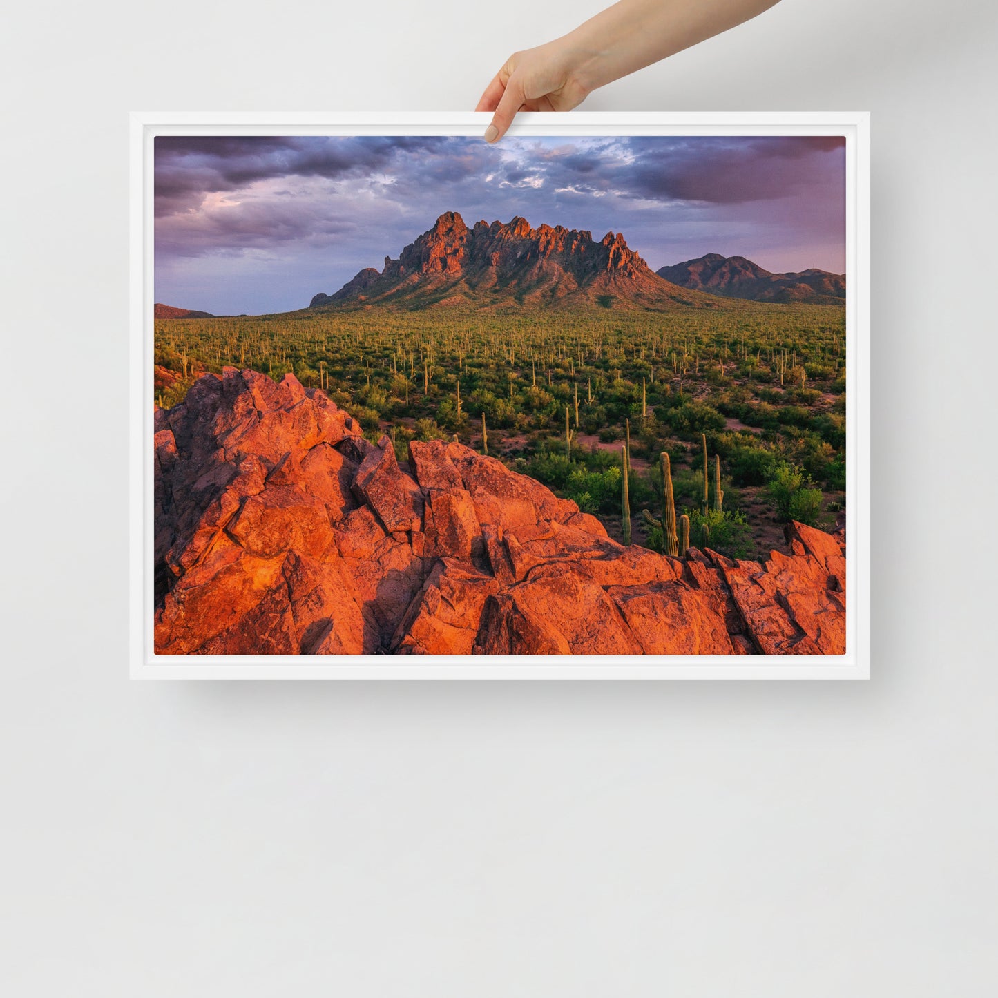 Ironwood National Monument by Sean Parker Photography | Framed canvas