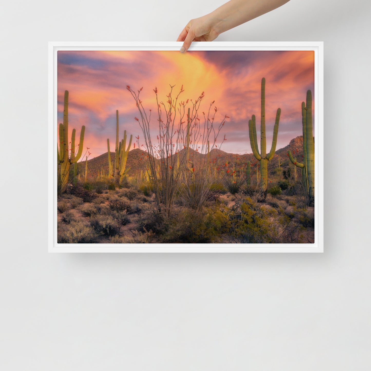 Tucson Mountain Park Sunset by Sean Parker Photography | Framed canvas