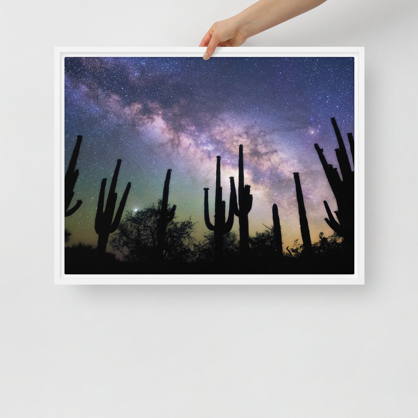 Saguaro Starlight by Sean Parker Photography | Framed canvas