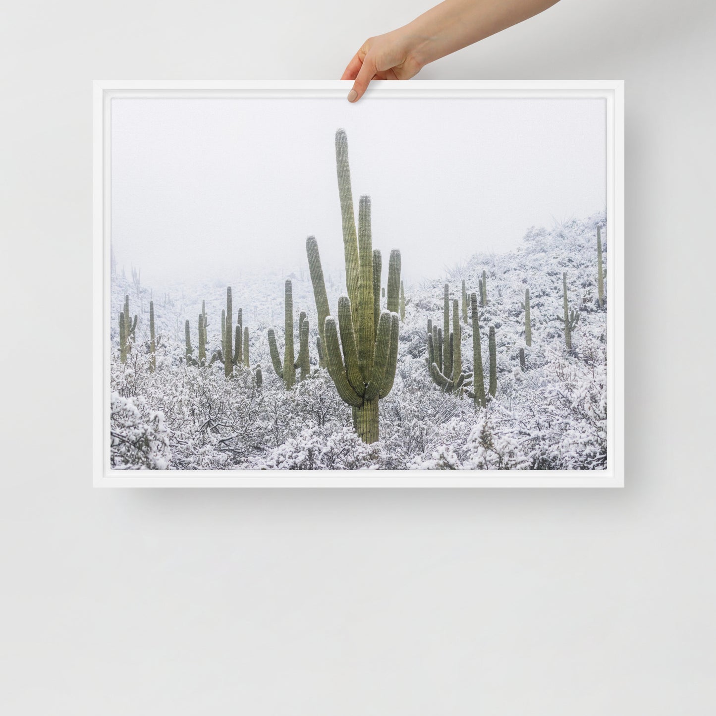 Saguaro Snowfall by Sean Parker Photography | Framed canvas