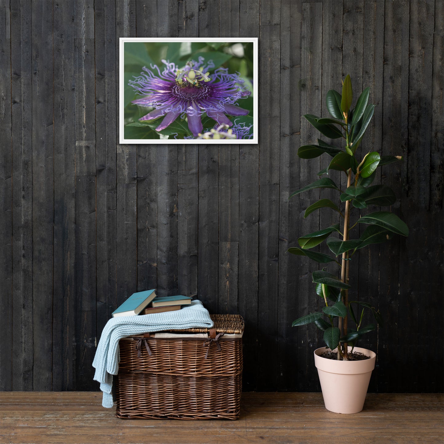 Purple Passion Flower by Leslie Leathers Photography | Framed canvas