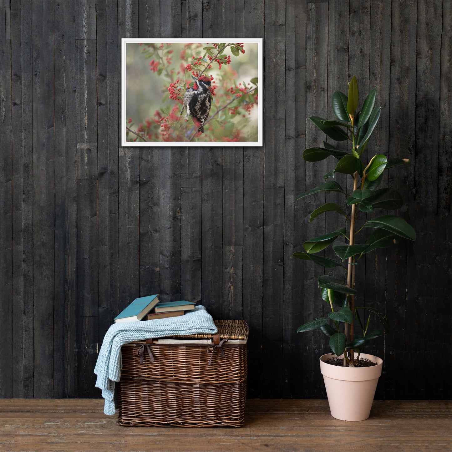 Red Naped Sapsucker by Leslie Leathers Photography | Framed canvas