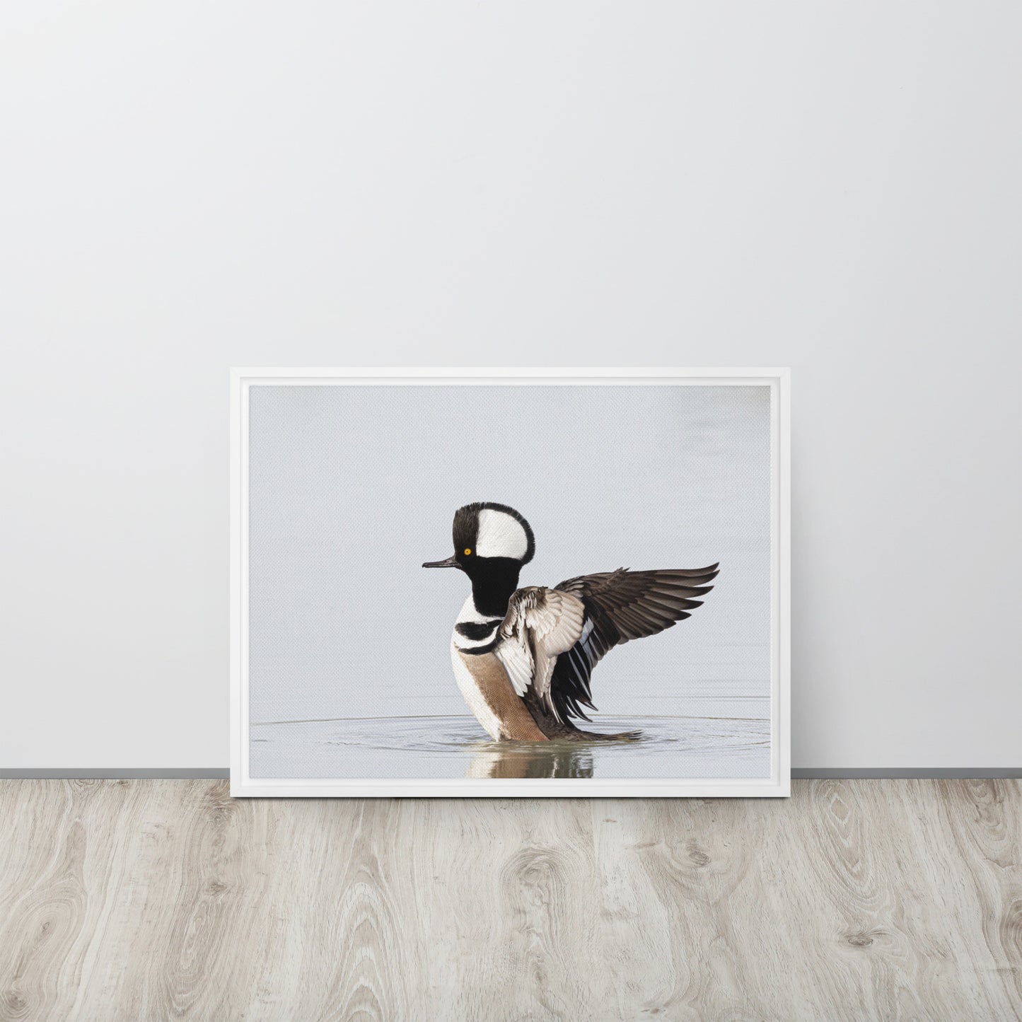 Hooded Merganser by Leslie Leathers Photography | Framed canvas