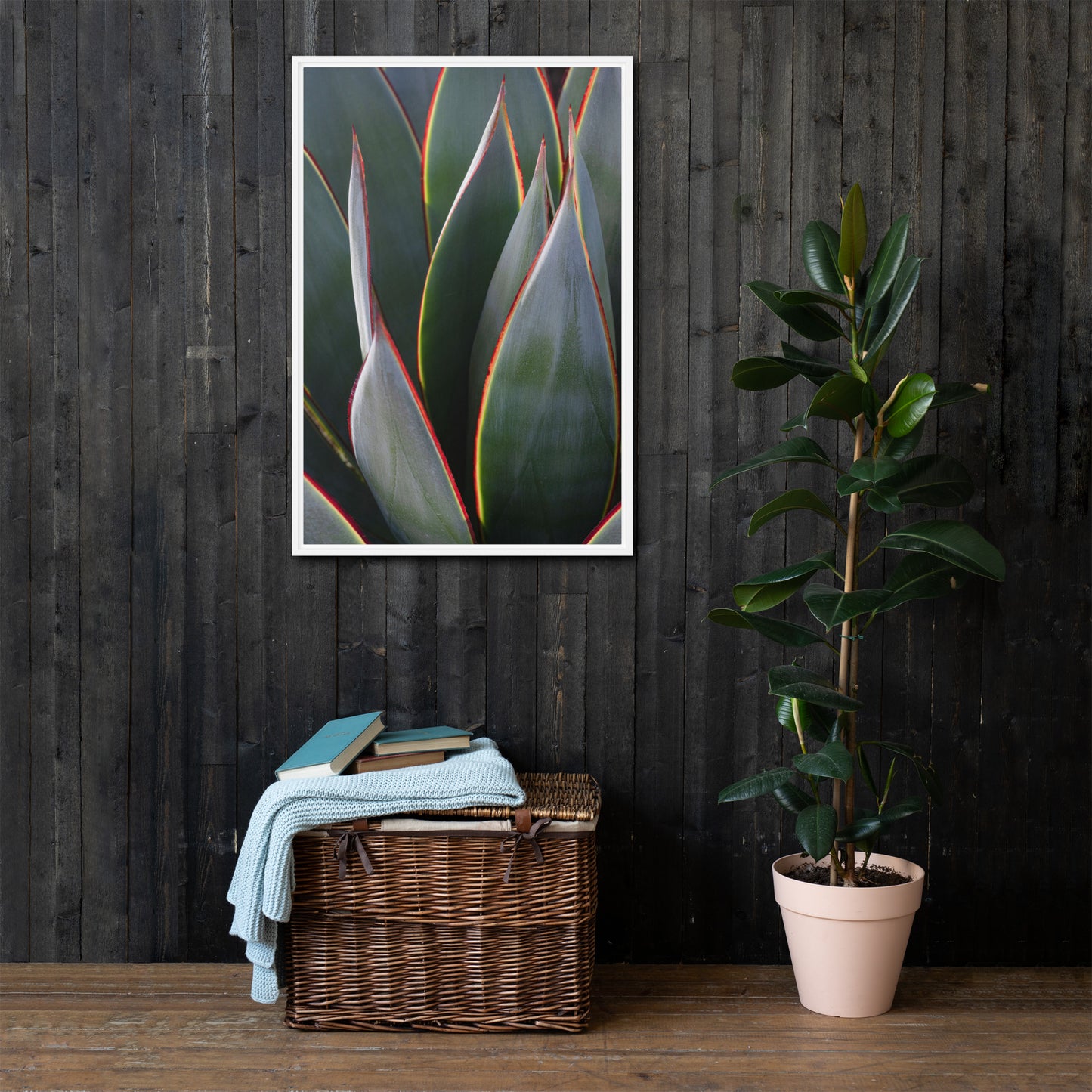 Agave by Leslie Leathers Photography | Framed canvas