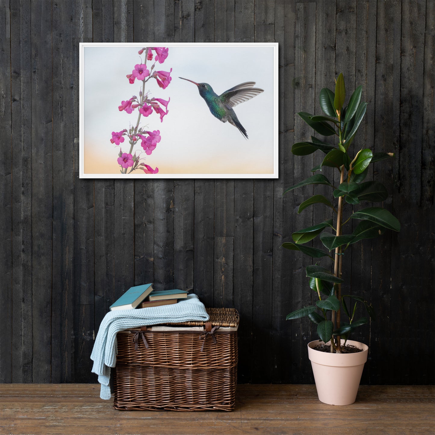 Broad Billed Hummingbird by Leslie Leathers Photography | Framed canvas