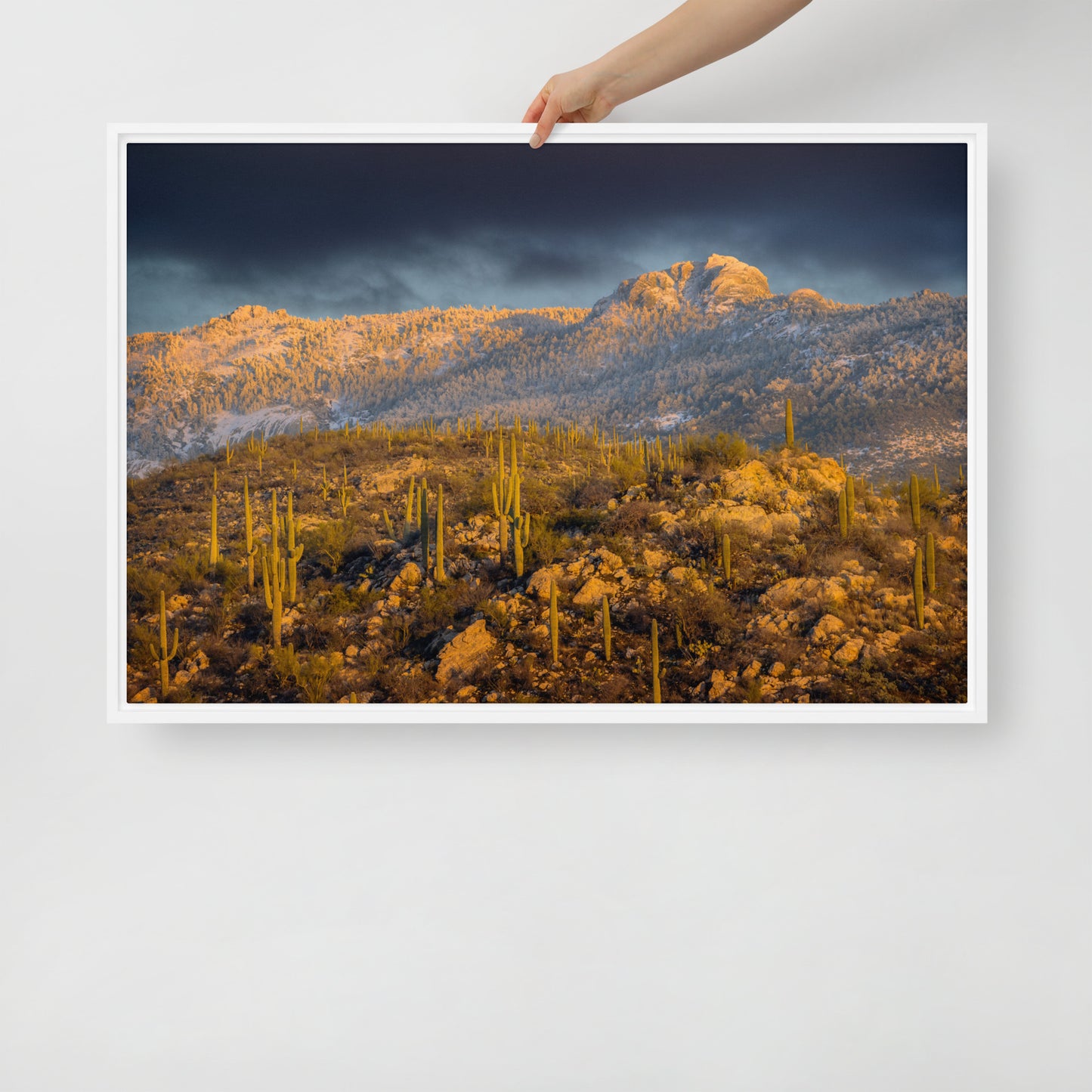 Rincon Mountain Snow by Sean Parker Photography | Framed canvas