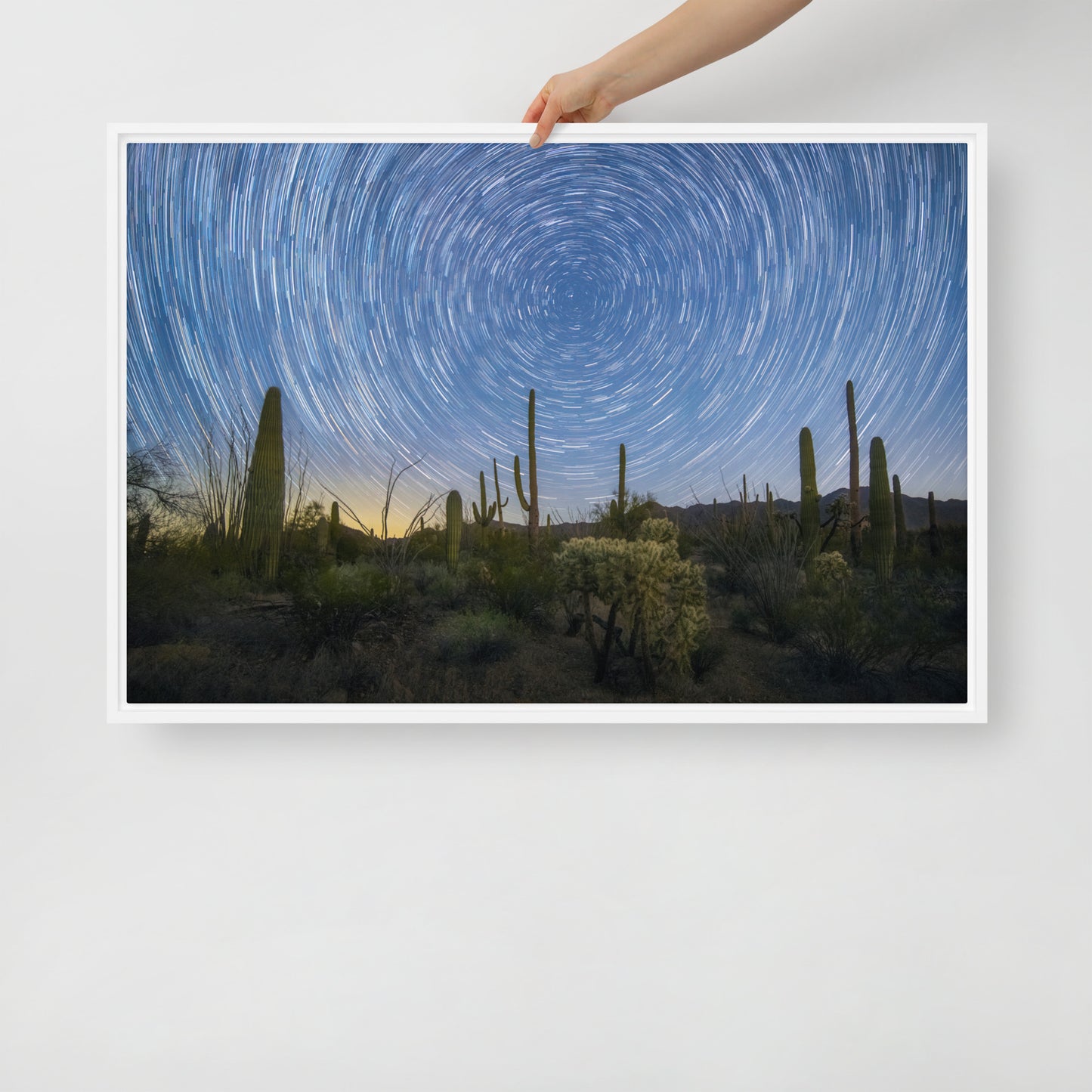 Sonoran Startails by Sean Parker Photography | Framed canvas