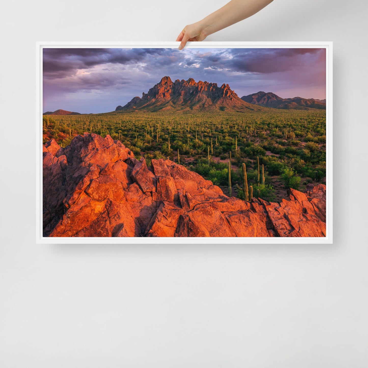 Ironwood National Monument by Sean Parker Photography | Framed canvas