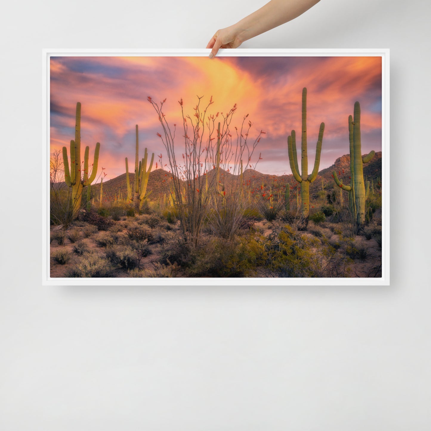 Tucson Mountain Park Sunset by Sean Parker Photography | Framed canvas