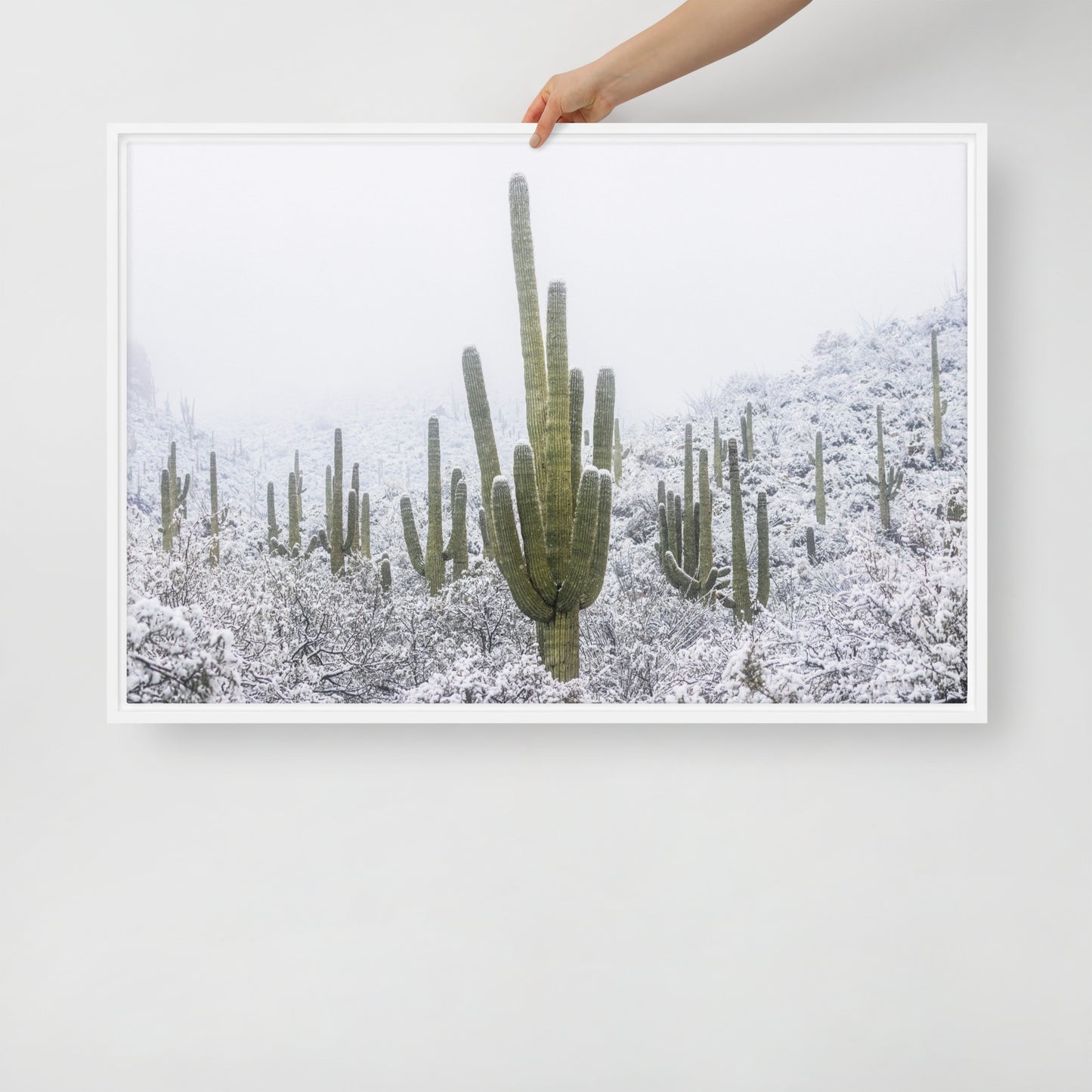 Saguaro Snowfall by Sean Parker Photography | Framed canvas