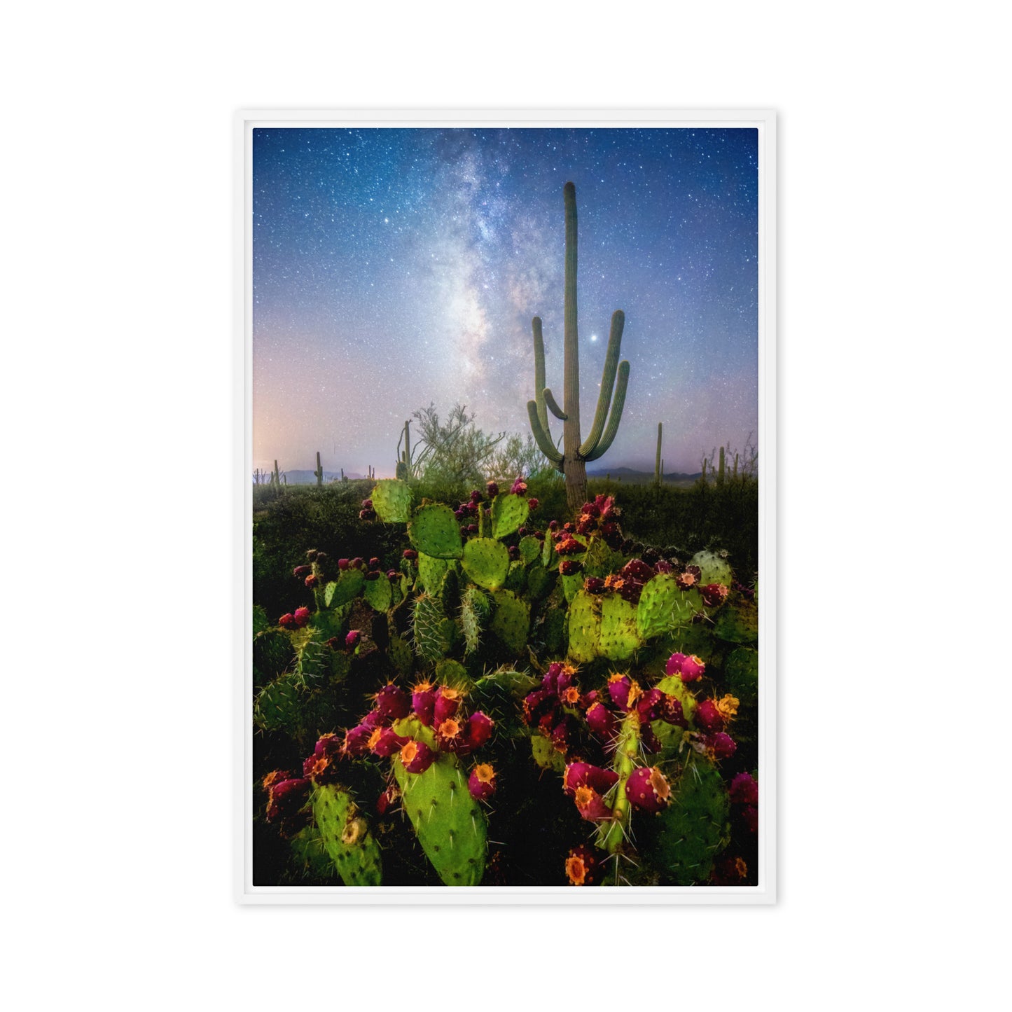 Milky Way Prickly Pear by Sean Parker Photography | Framed canvas