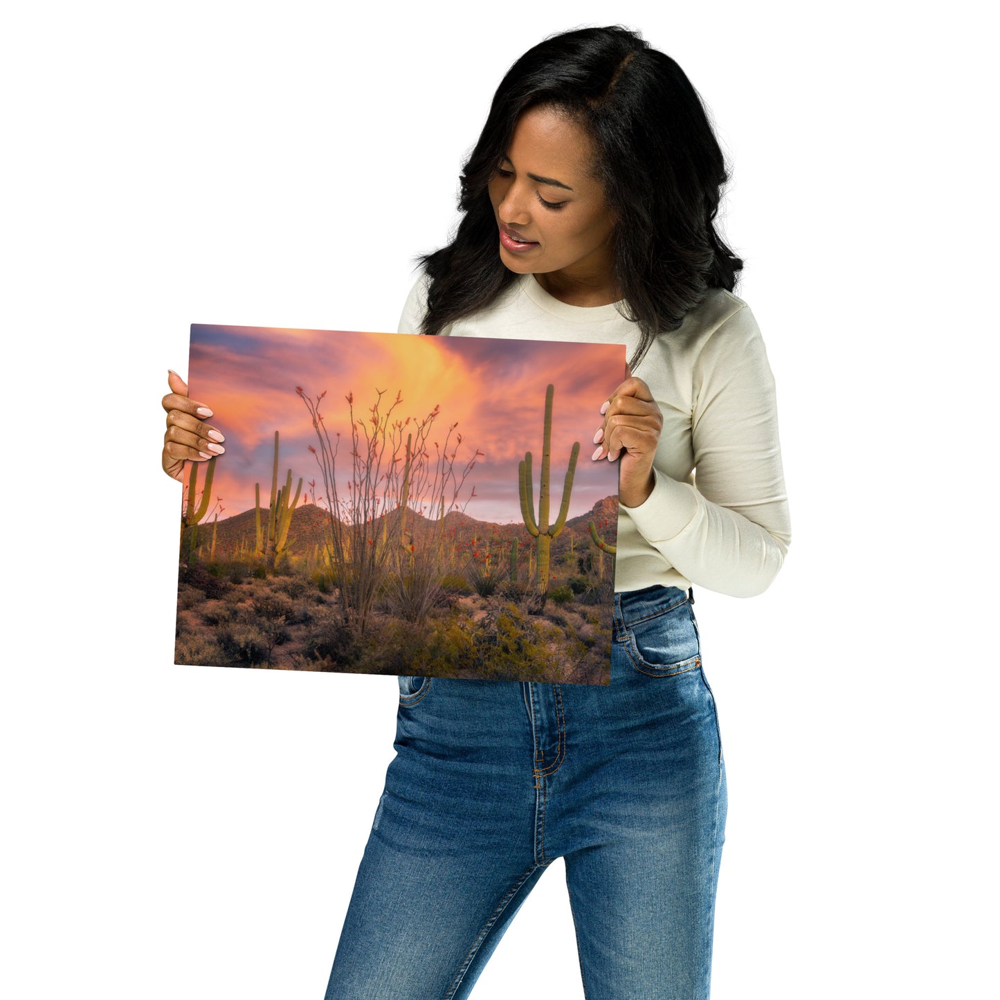 Tucson Mountain Park Sunset by Sean Parker Photography | Metal prints