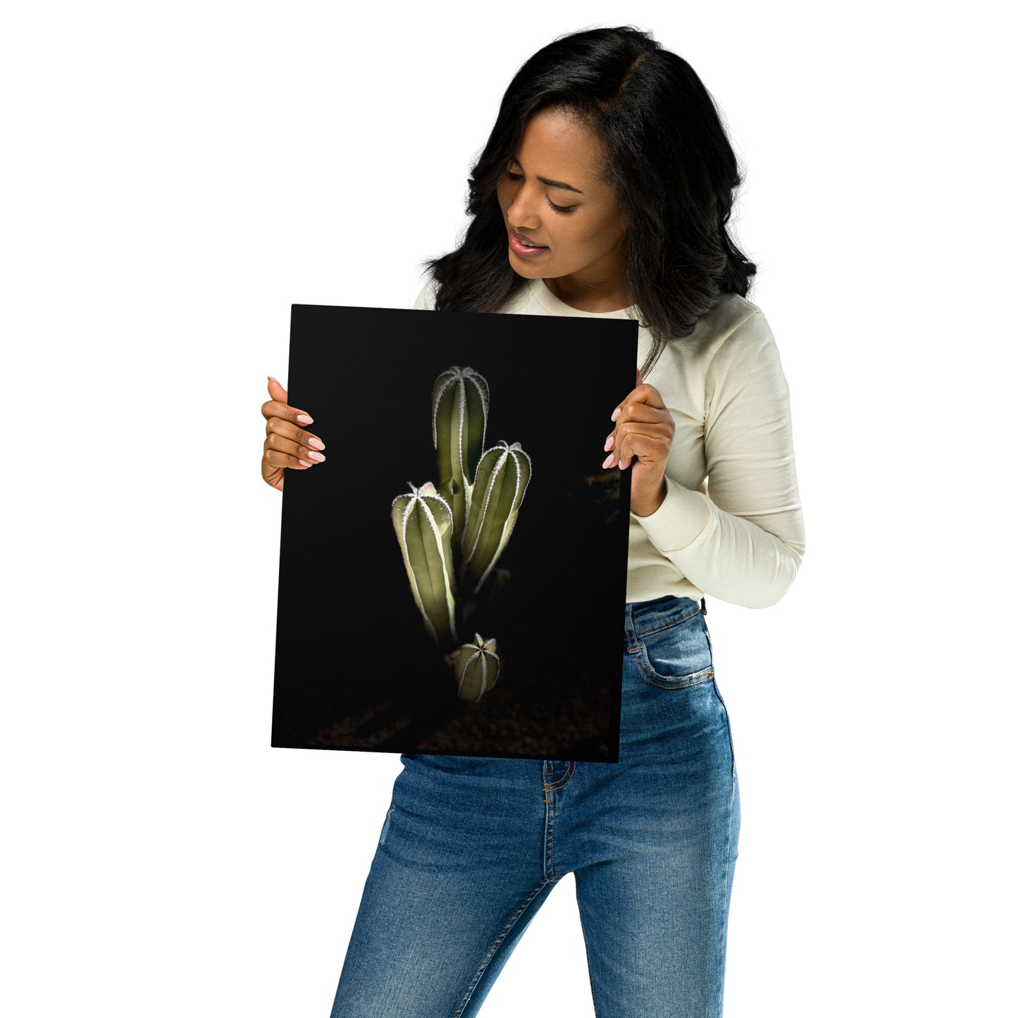 Saguaro Quad by Enrique Aldana Photography | Metal prints