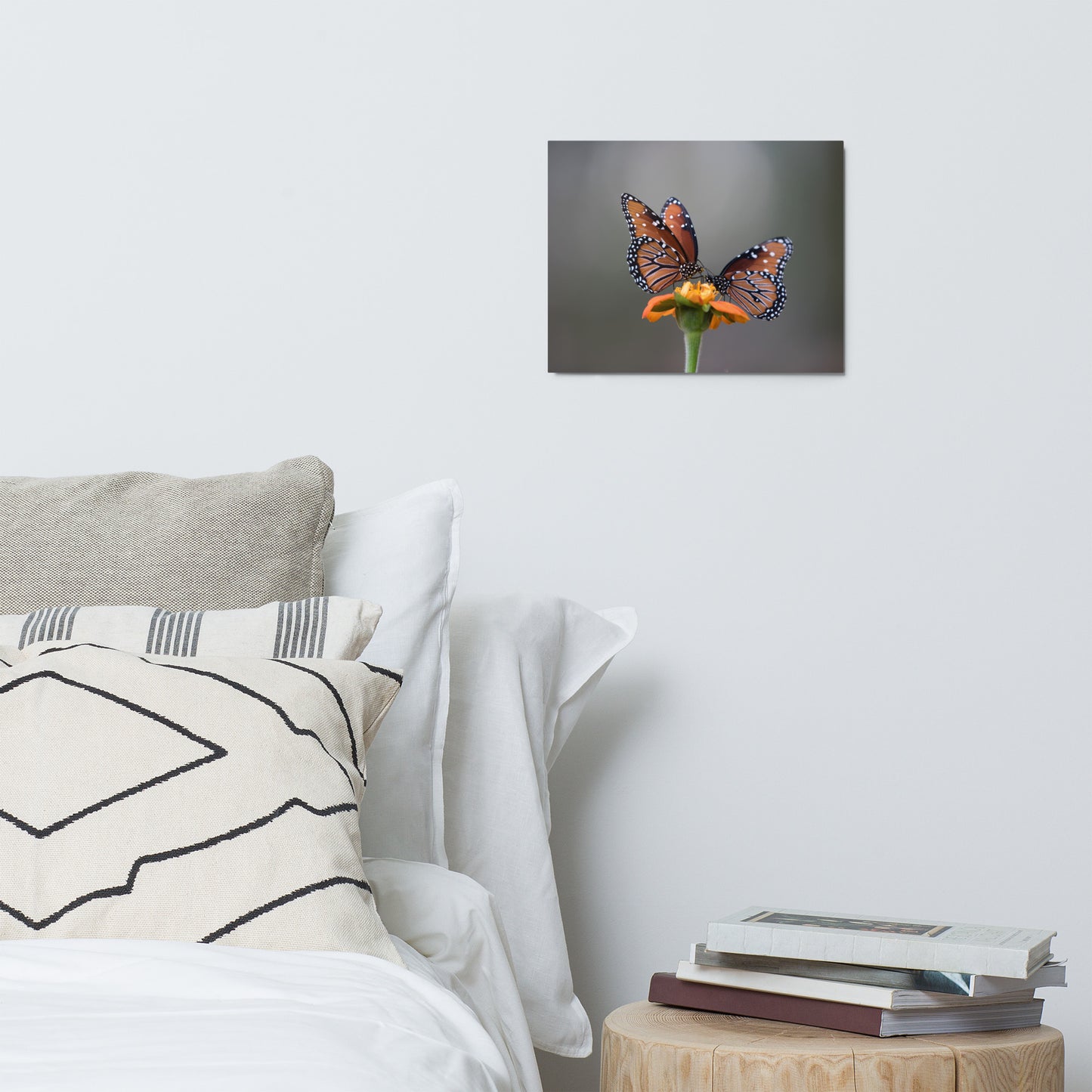 Queen Butterflies by Leslie Leathers Photography | Metal prints