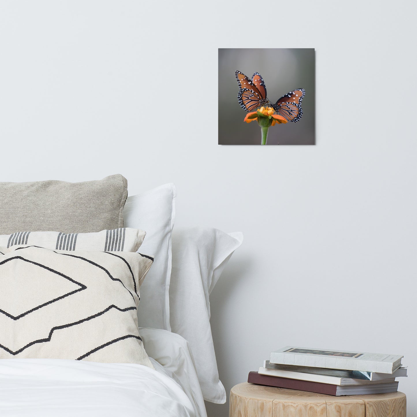 Queen Butterflies by Leslie Leathers Photography | Metal prints