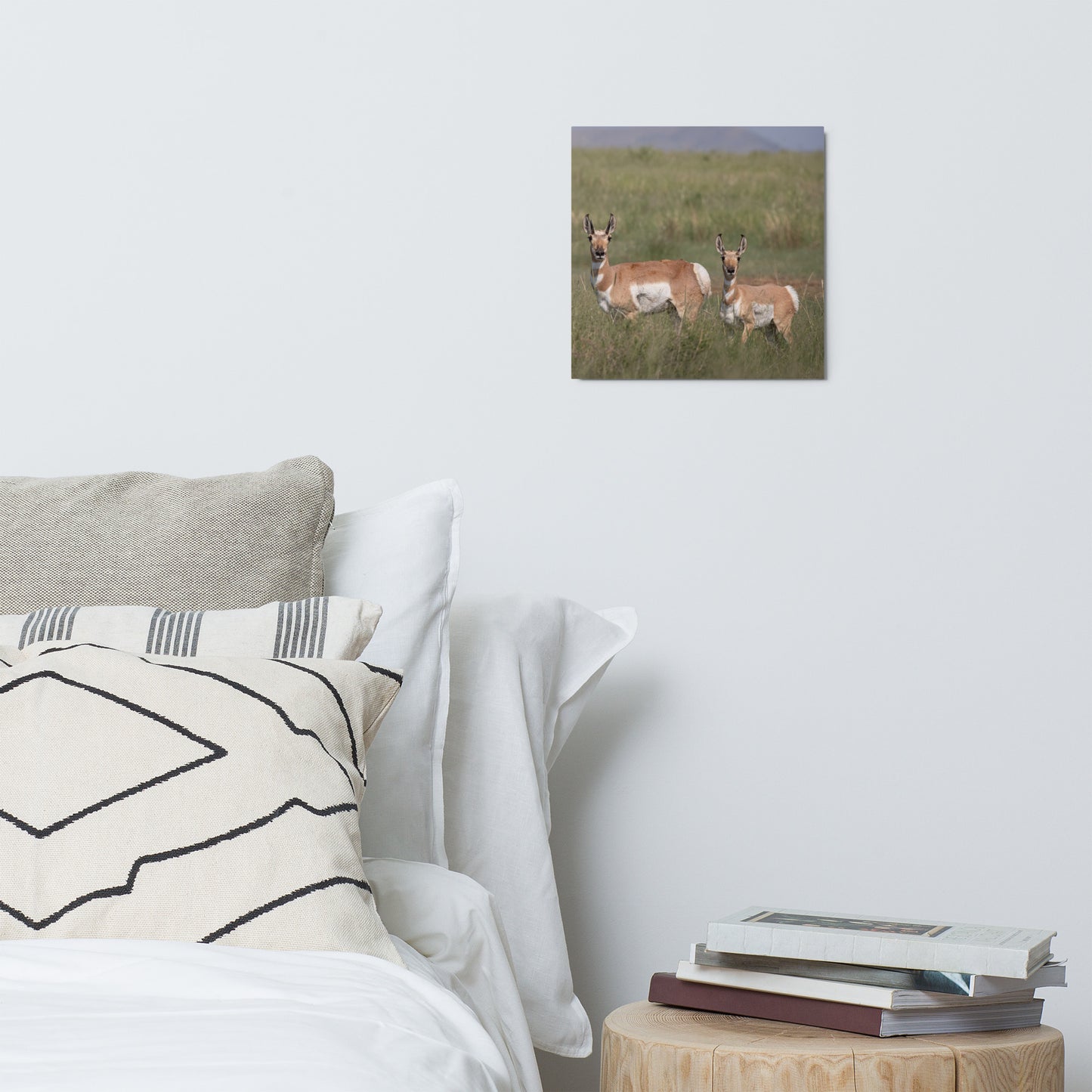 Pronghorn by Leslie Leathers Photography | Metal prints