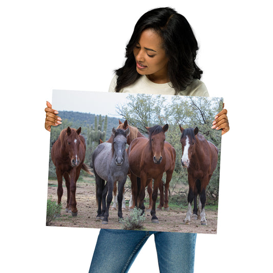 Dream Team by Leslie Leathers Photography | Metal Prints