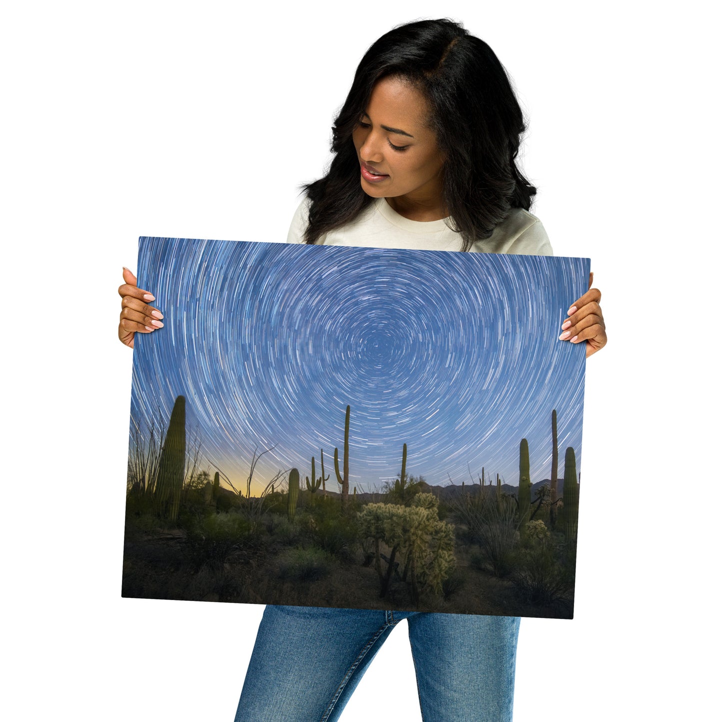 Sonoran Startails by Sean Parker Photography | Metal prints