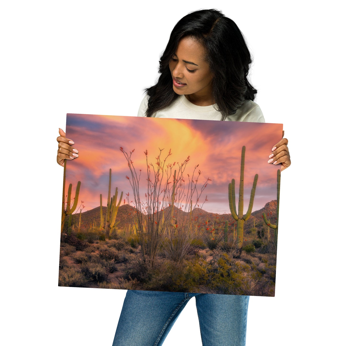 Tucson Mountain Park Sunset by Sean Parker Photography | Metal prints