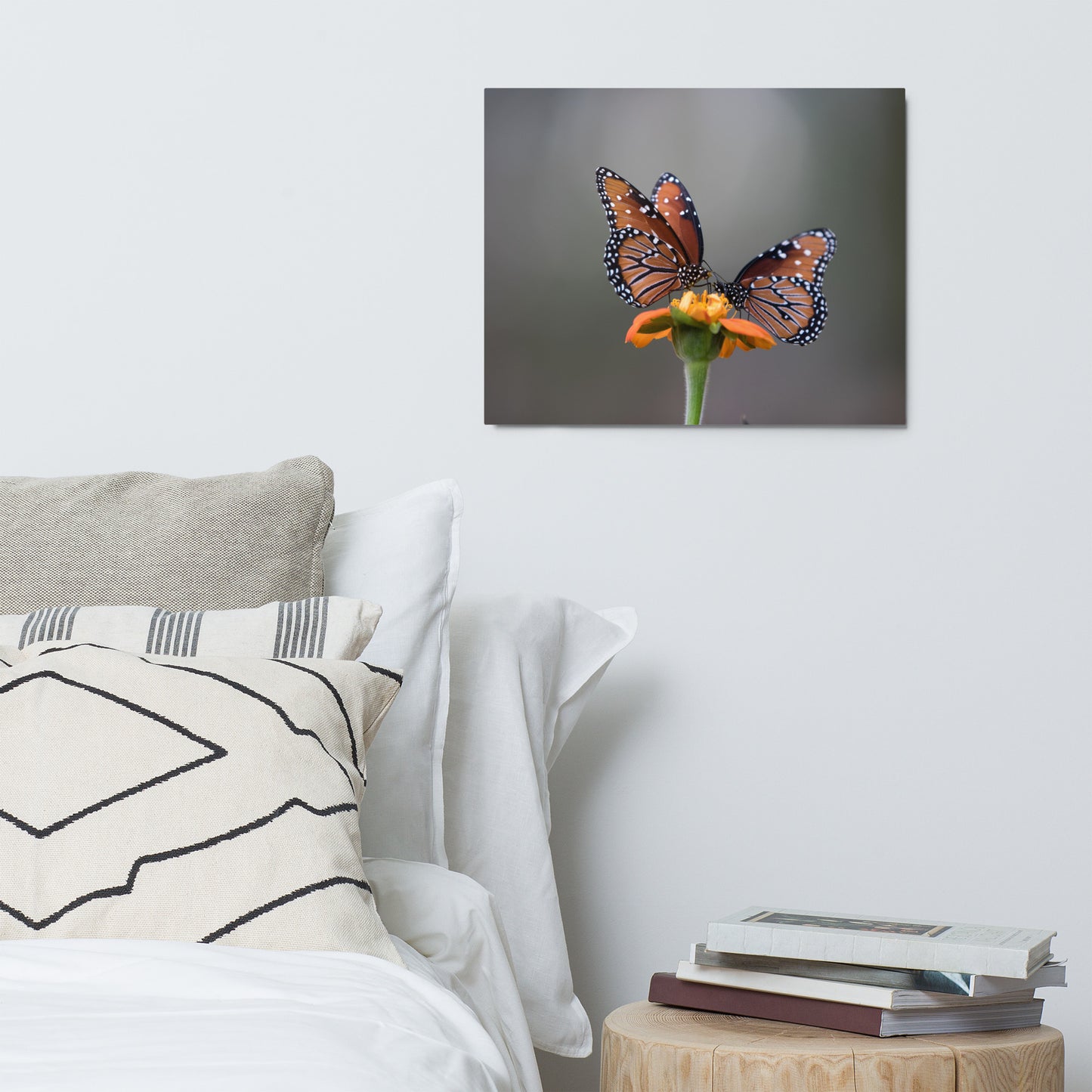 Queen Butterflies by Leslie Leathers Photography | Metal prints