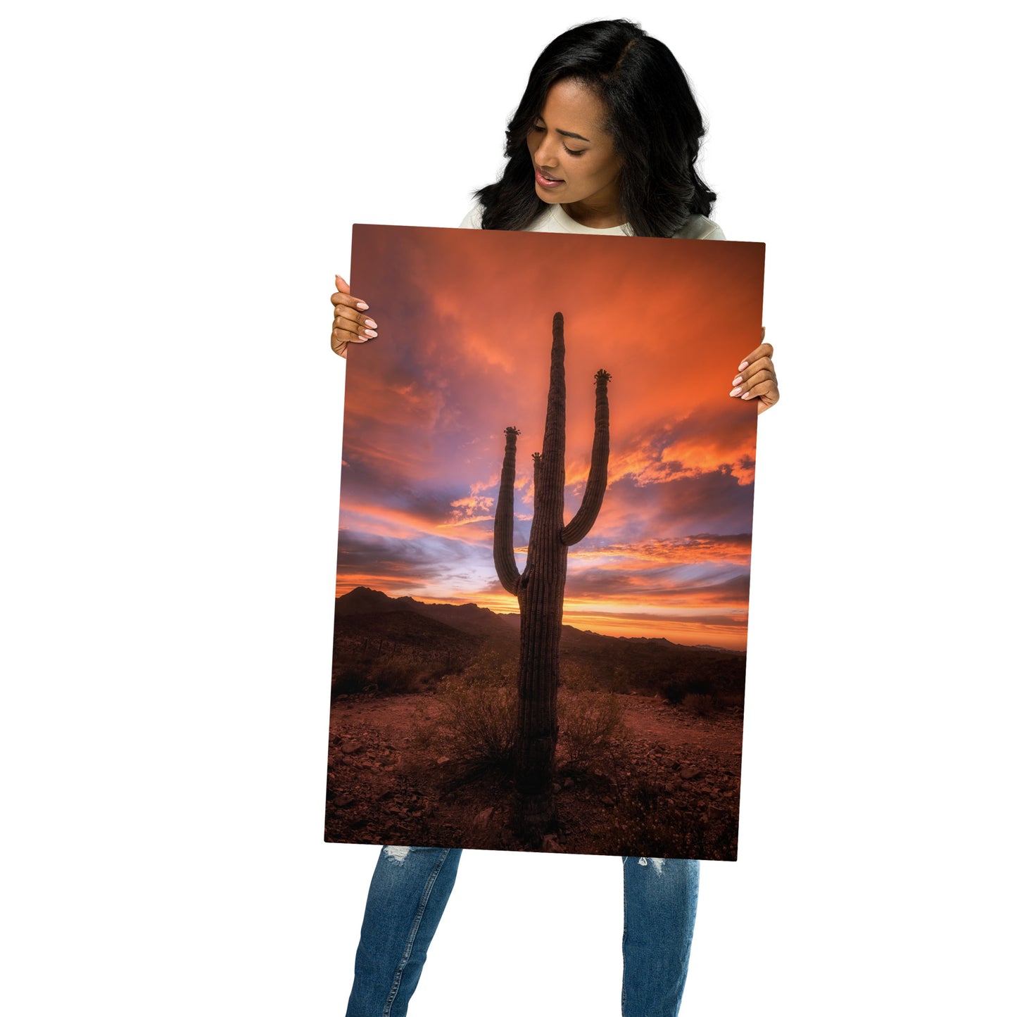 Saguaro Sunset by Sean Parker Photography | Metal prints