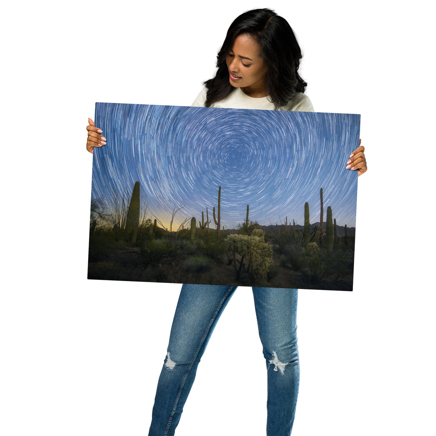 Sonoran Startails by Sean Parker Photography | Metal prints