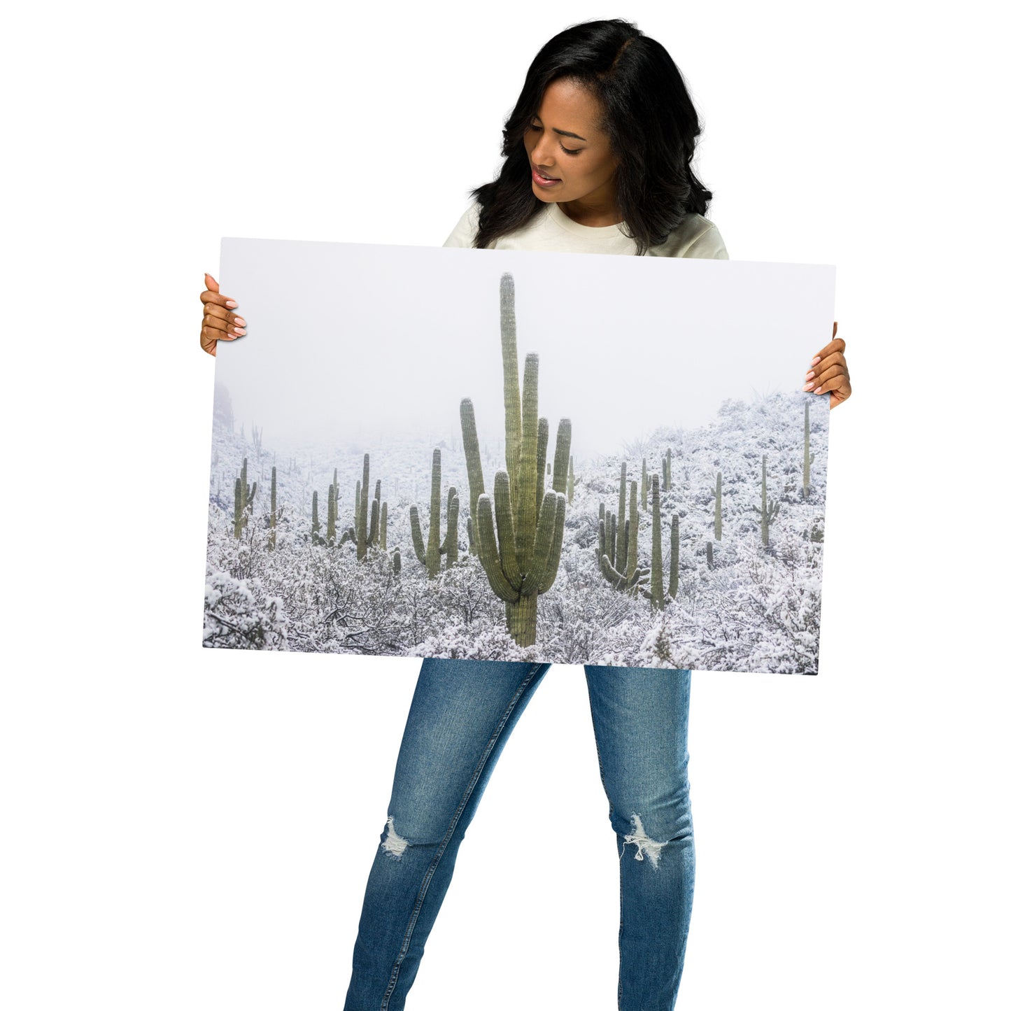 Saguaro Snowfall by Sean Parker Photography | Metal prints