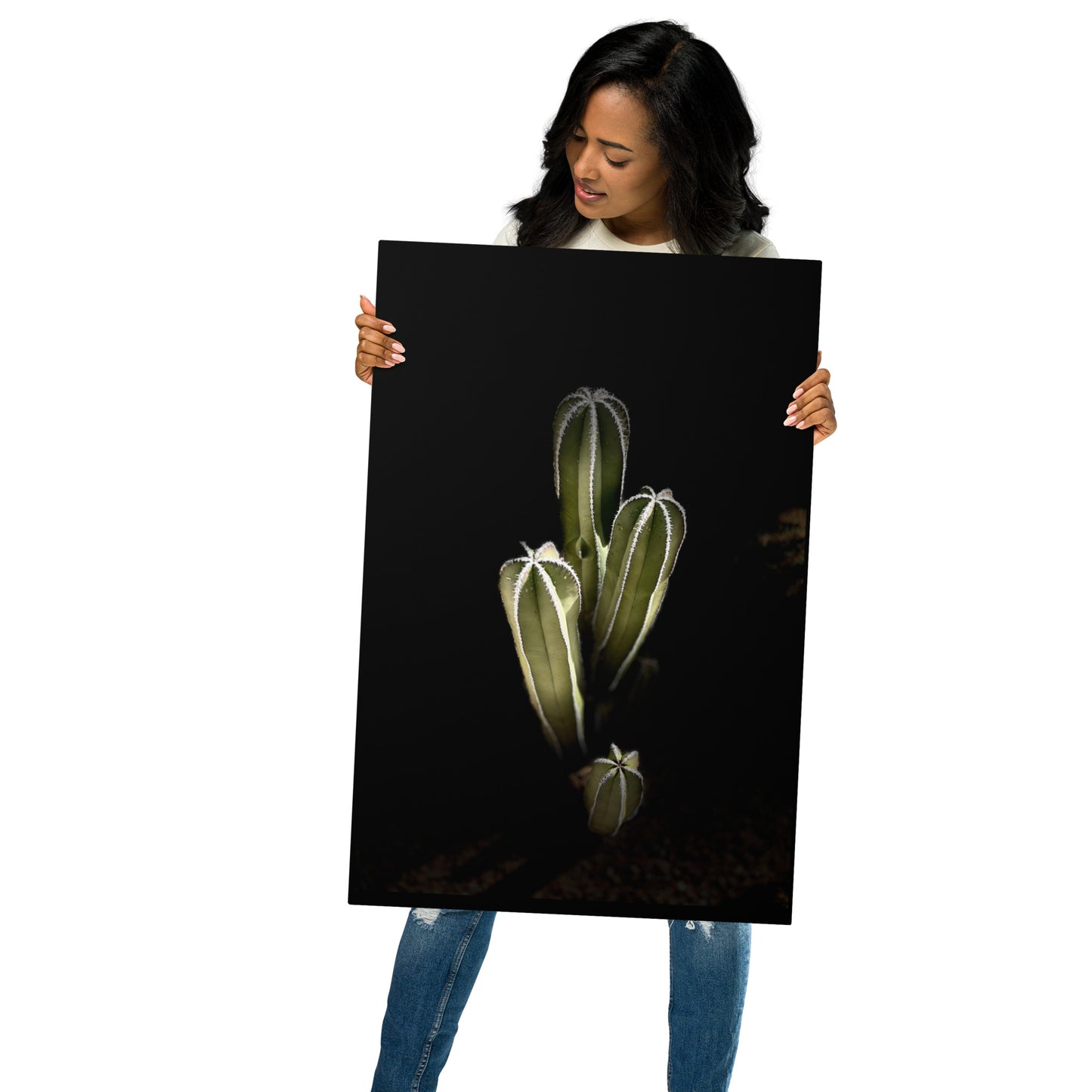 Saguaro Quad by Enrique Aldana Photography | Metal prints