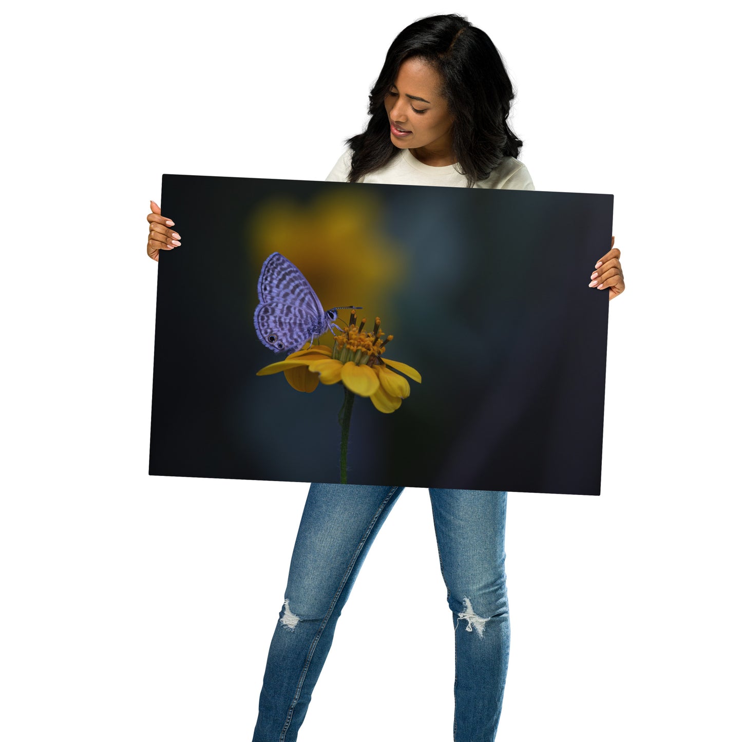 Marine Blue Butterfly by Leslie Leathers Photography | Metal prints