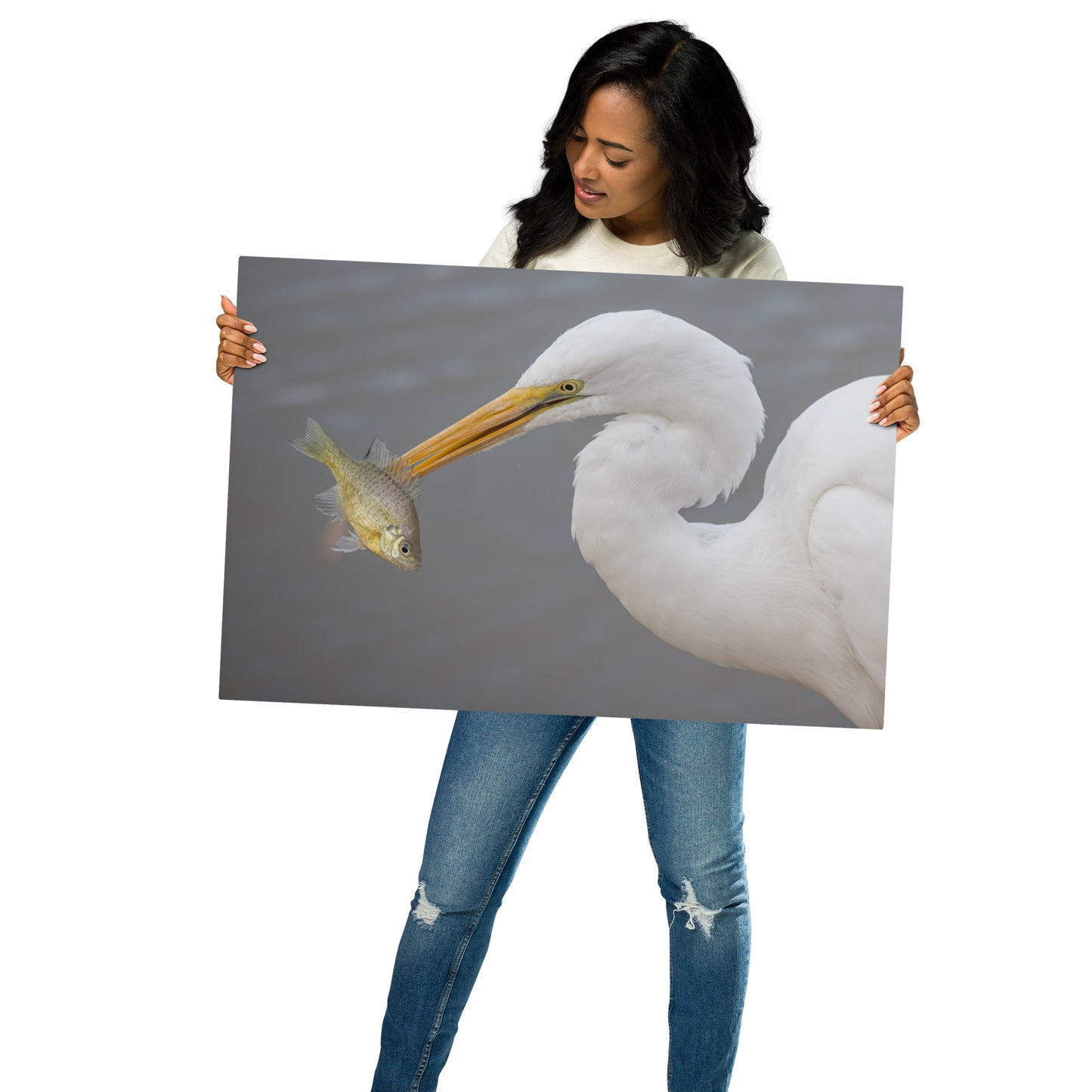 Great White Egret by Leslie Leathers Photography | Metal prints