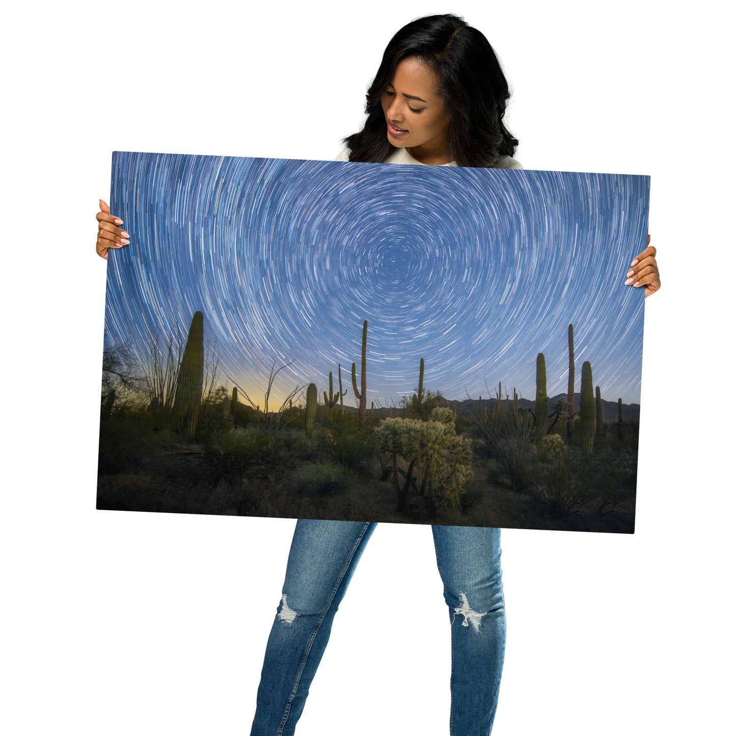 Sonoran Startails by Sean Parker Photography | Metal prints