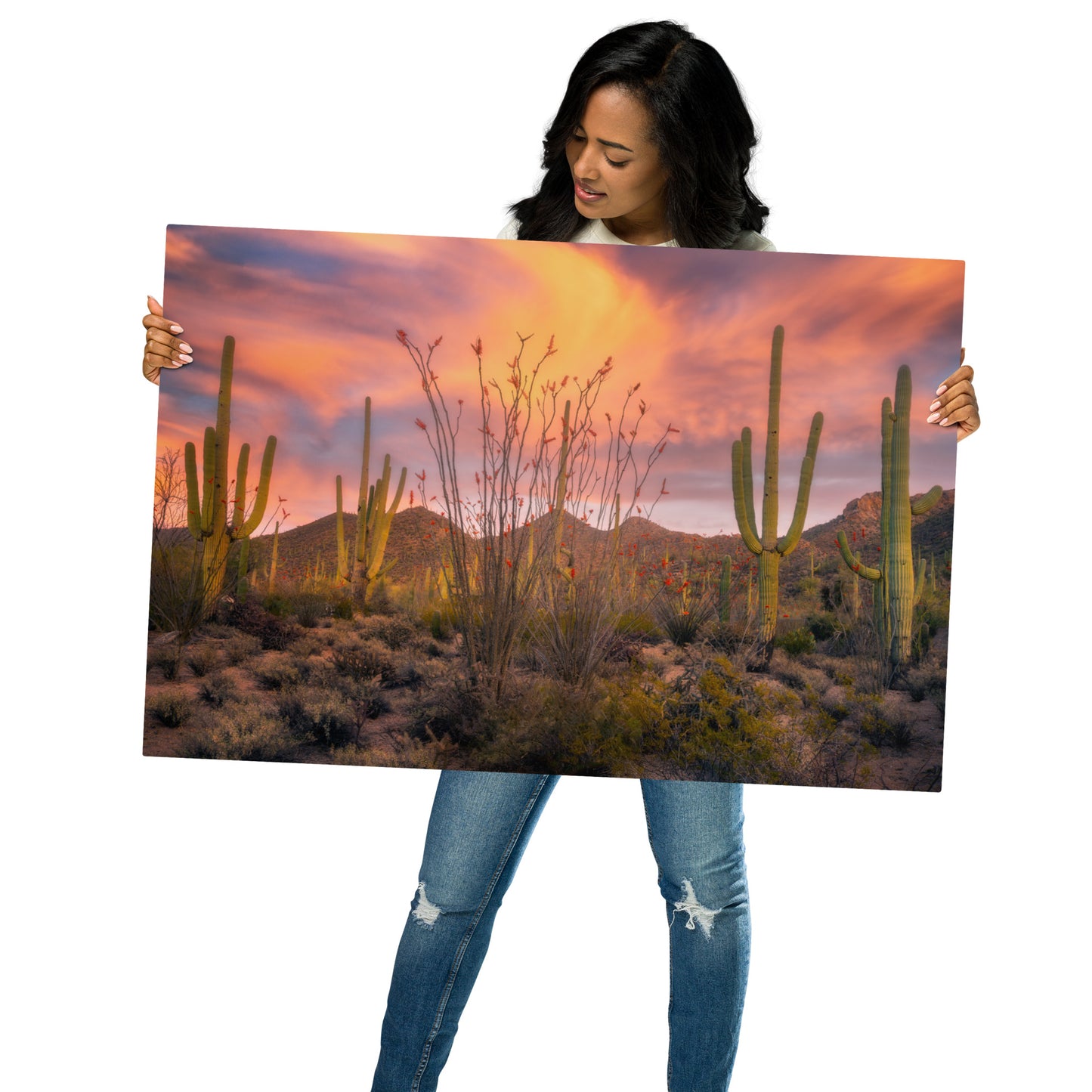 Tucson Mountain Park Sunset by Sean Parker Photography | Metal prints