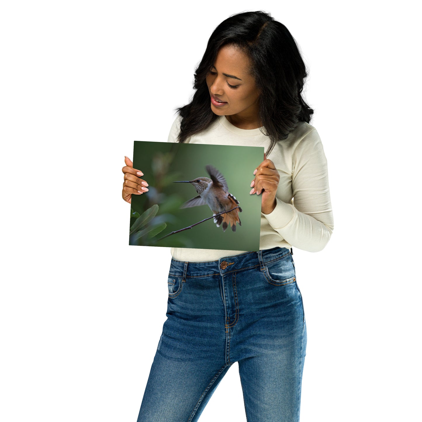 Rufous Hummingbird by Leslie Leathers Photography | Metal prints