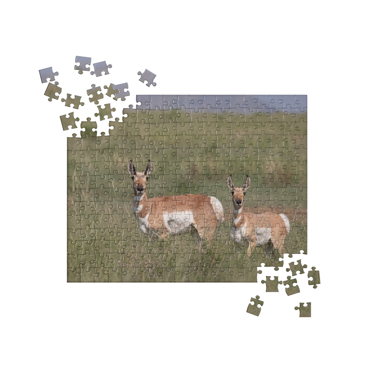 Pronghorn by Leslie Leathers Photography | Jigsaw puzzle