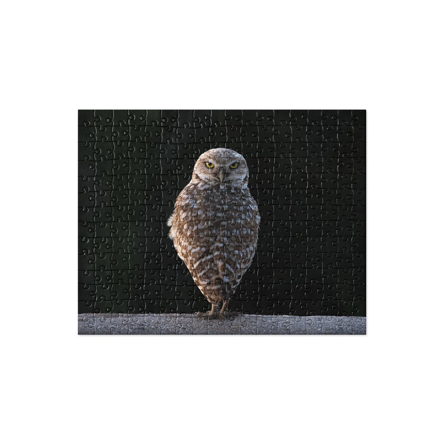 Burrowing Owl by Leslie Leathers Photography | Jigsaw puzzle