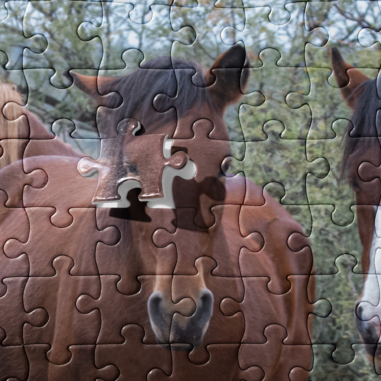 Dream Team by Leslie Leathers Photography | Jigsaw puzzle