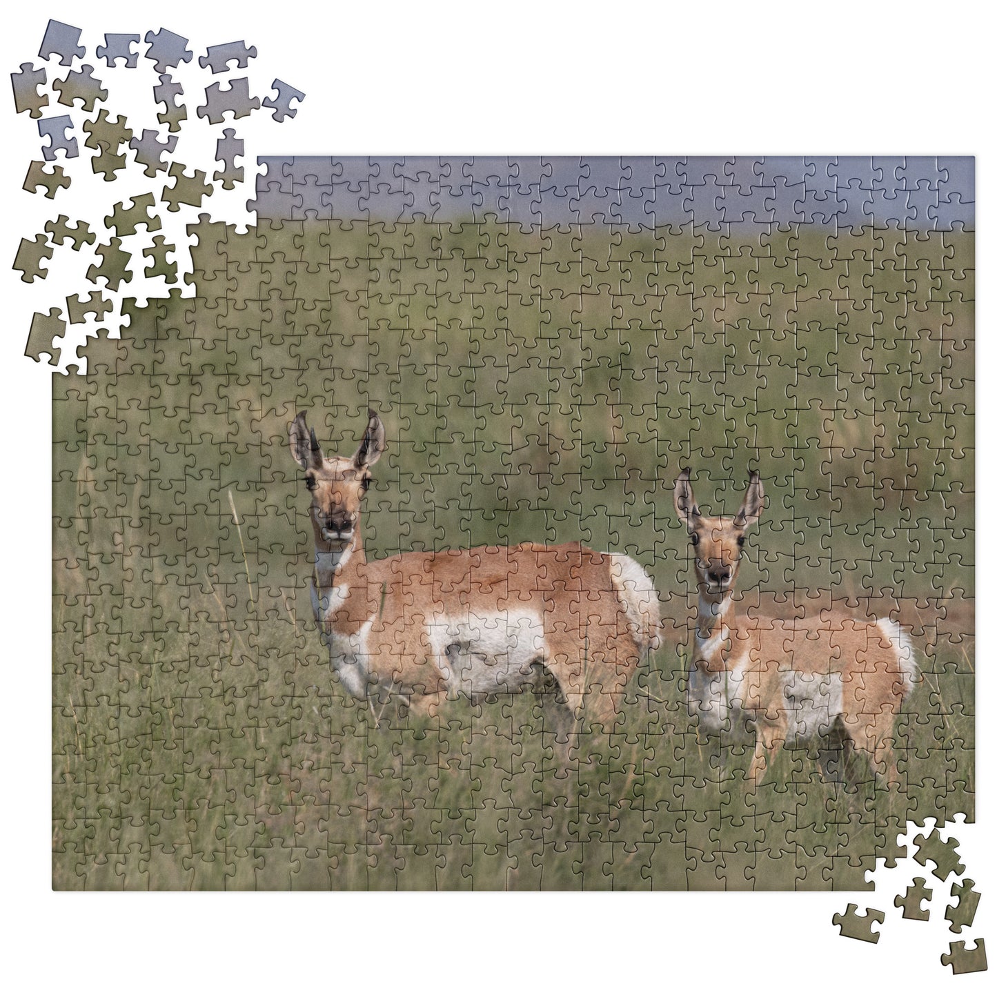 Pronghorn by Leslie Leathers Photography | Jigsaw puzzle