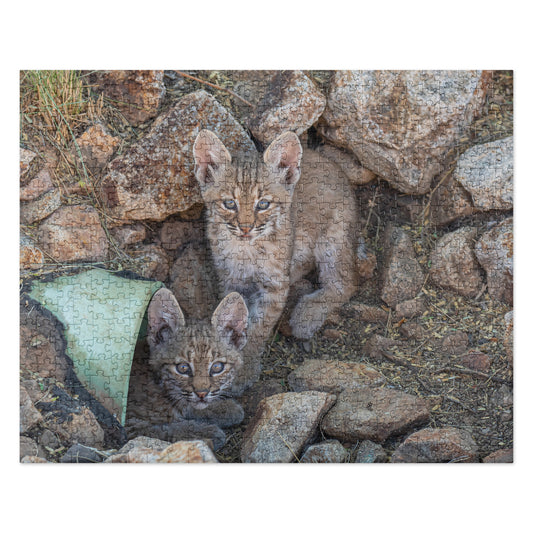 Baby Bobcats Duo by Leslie Leathers Photography | Jigsaw puzzle